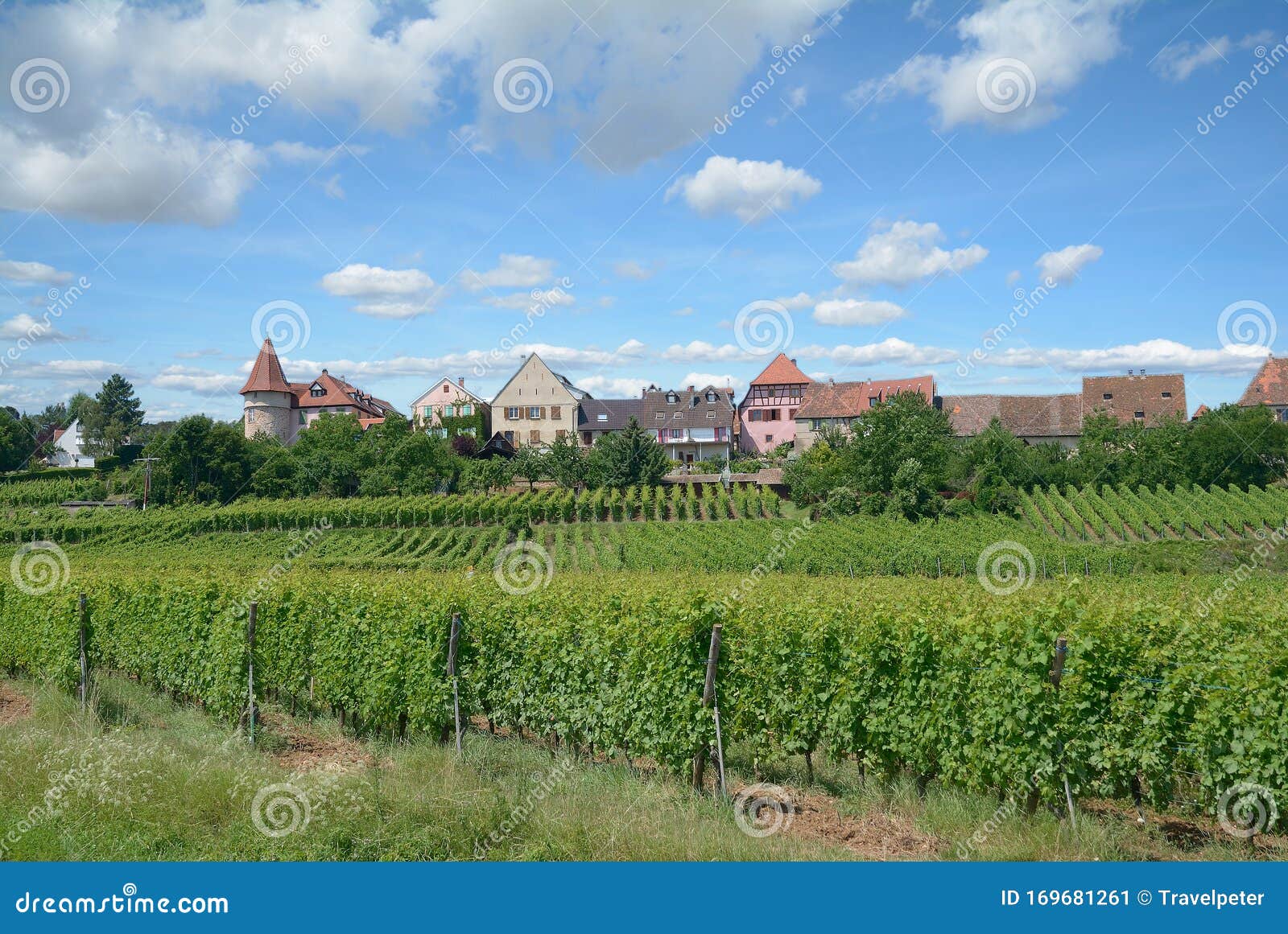 zellenberg,grand est region,france