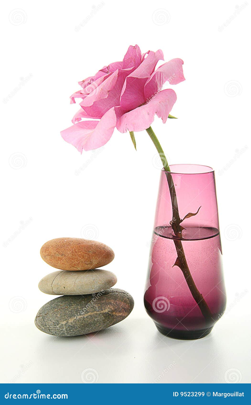 Zen Atmosphere, Vase and Rose Stock Image Image of harmony