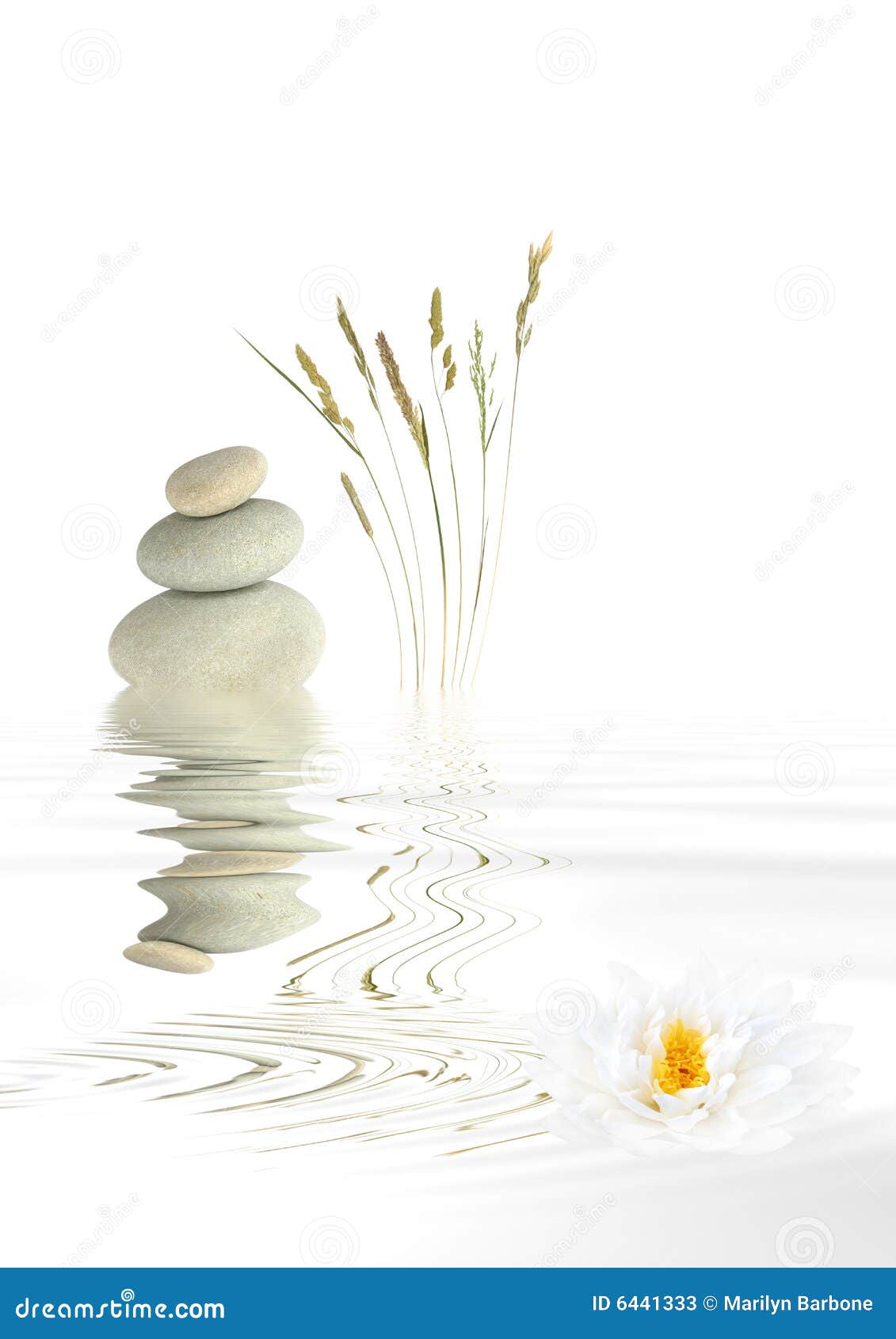 Zen Balance stock image. Image of nature, japanese, botanic 6441333