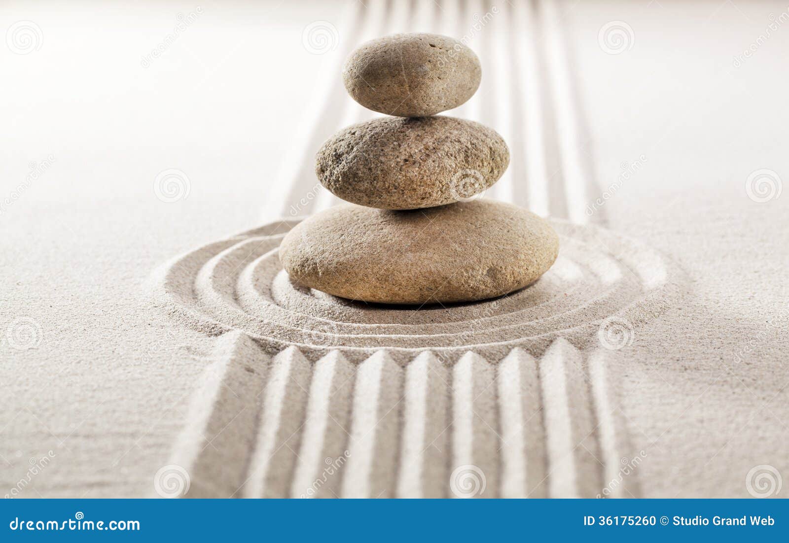 zen balance for concentration and wellbeing