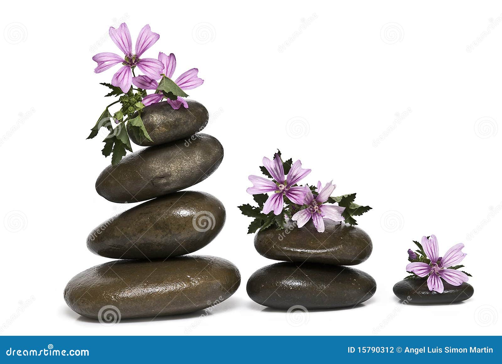 Zen Balance and Mauve Flowers. Stock Photo Image of background, calmness 15790312