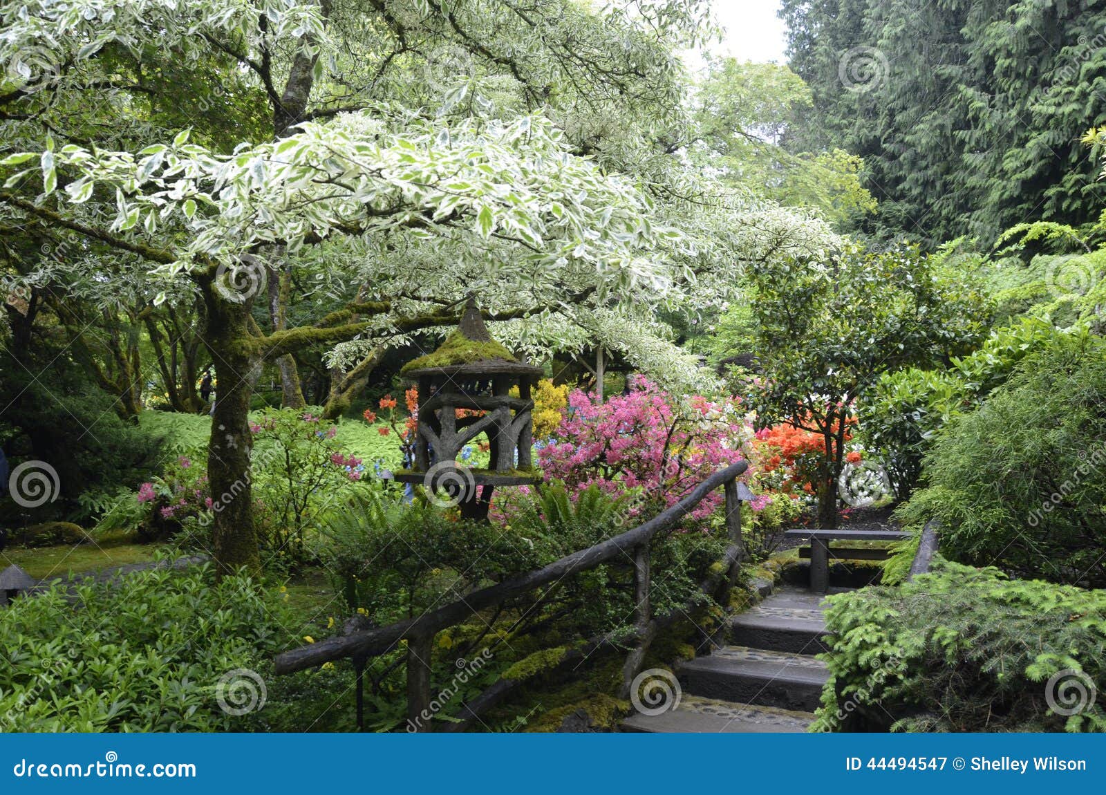 Zen Flower Garden image stock. Image du canada, cruise - 44494547