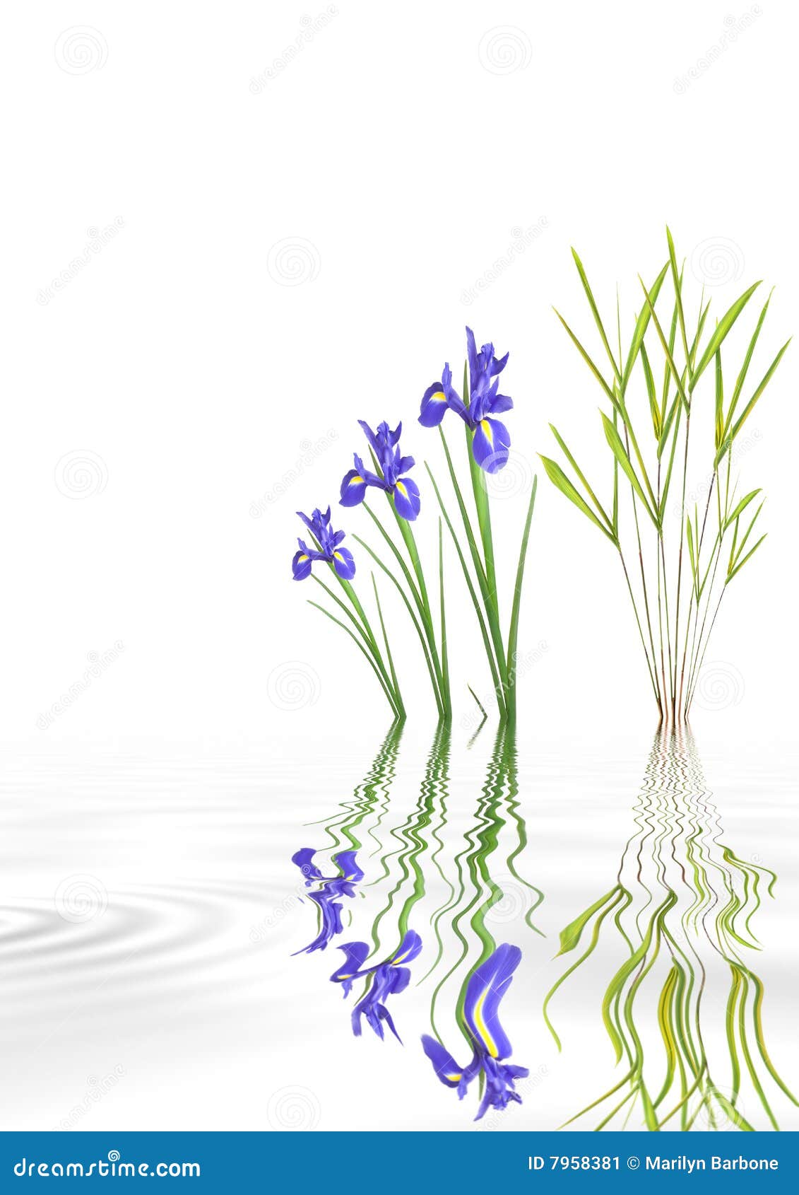 Zen Garden stock illustration. Illustration of chinese 7958381