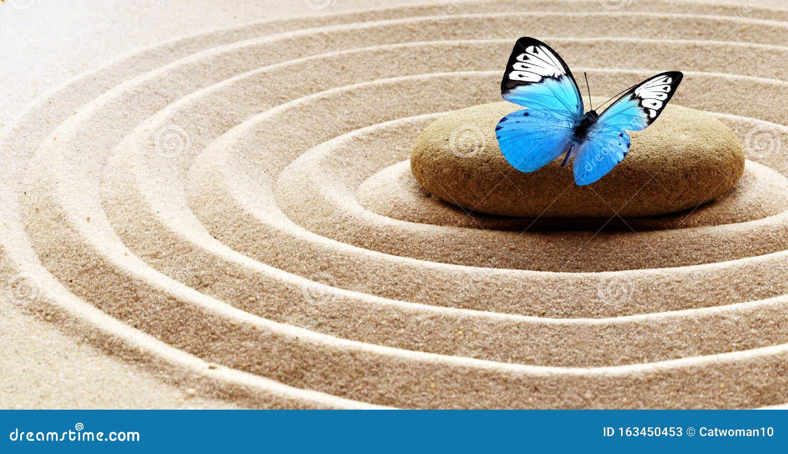 zen garden meditation stone background and butterfly with stones and lines in sand for relaxation balance and harmony spirituality