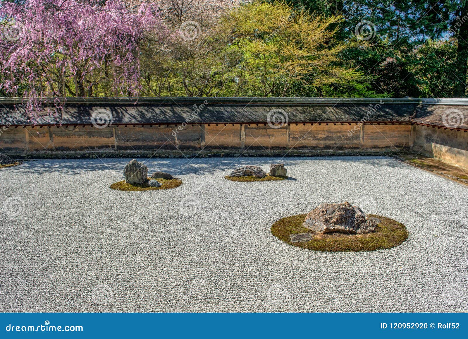 ryoan-ji temple at springtime