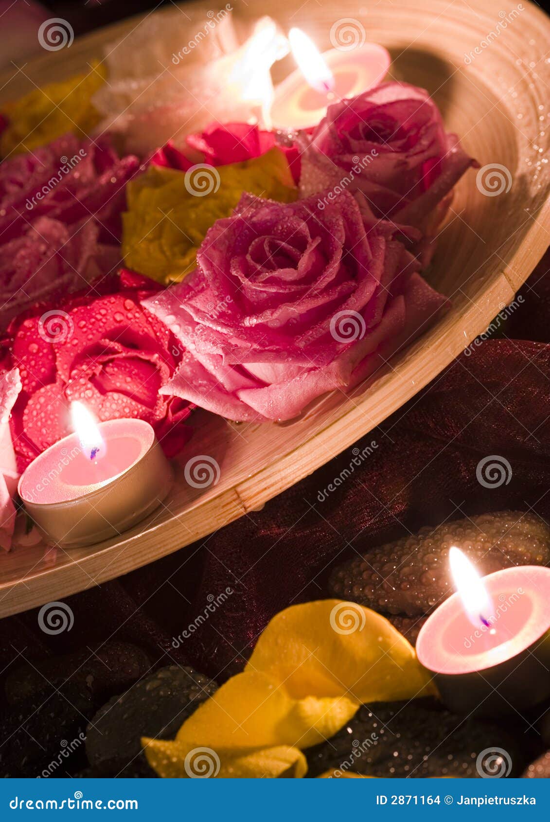 Zen roses stock photo. Image of beauty, colorful, emotion 2871164