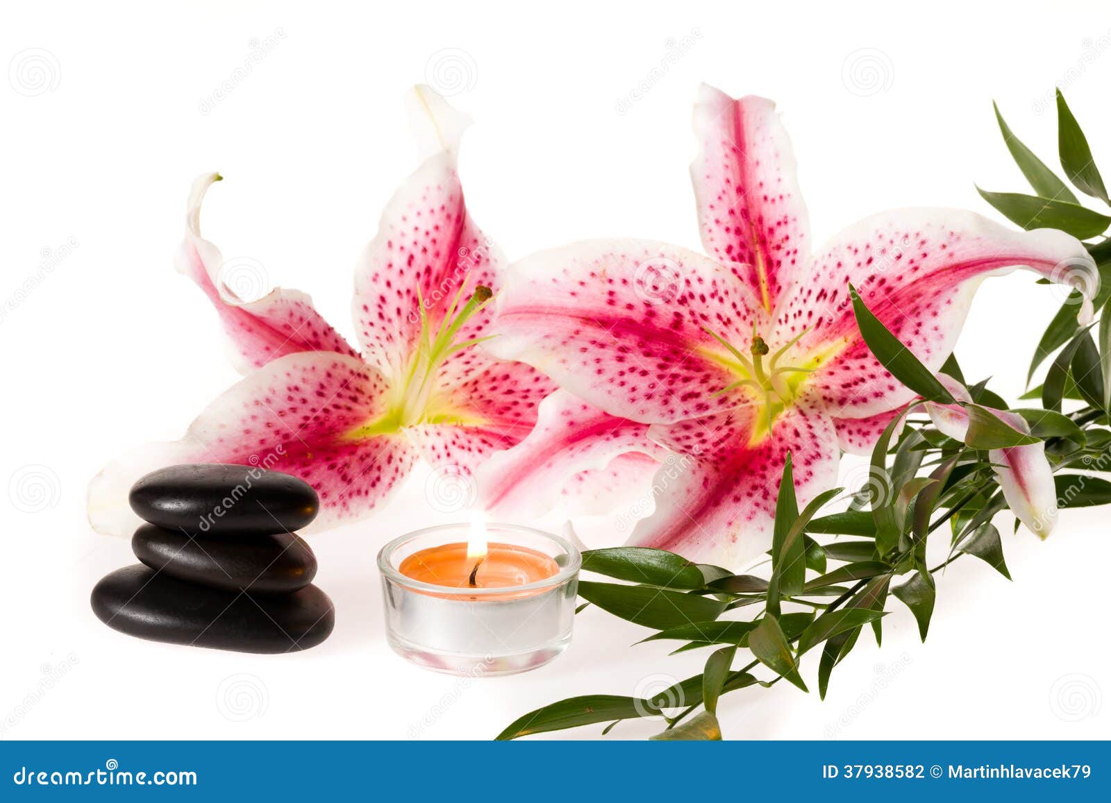 Zen spa lily stock photo. Image of stones, relax, flower 37938582