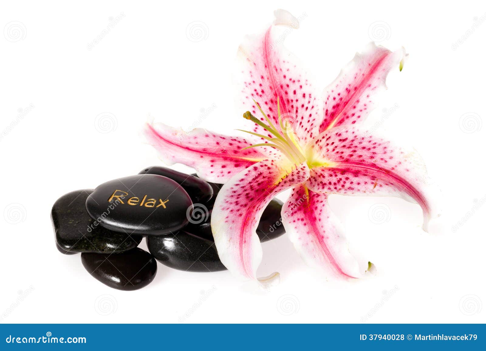 Zen spa stones and lily stock photo. Image of calm, rocks 37940028