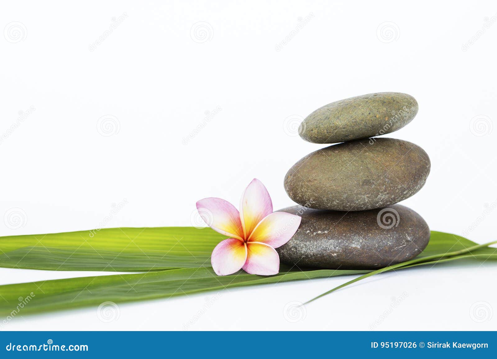 Zen Stone On Green Bamboo Leaf And Flower On White Background Stock