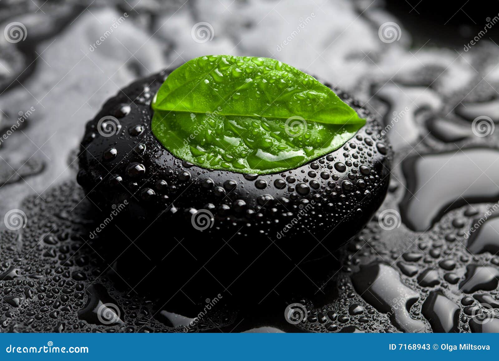 Zen Stone and Leaf with Water Drops Stock Image Image of beauty