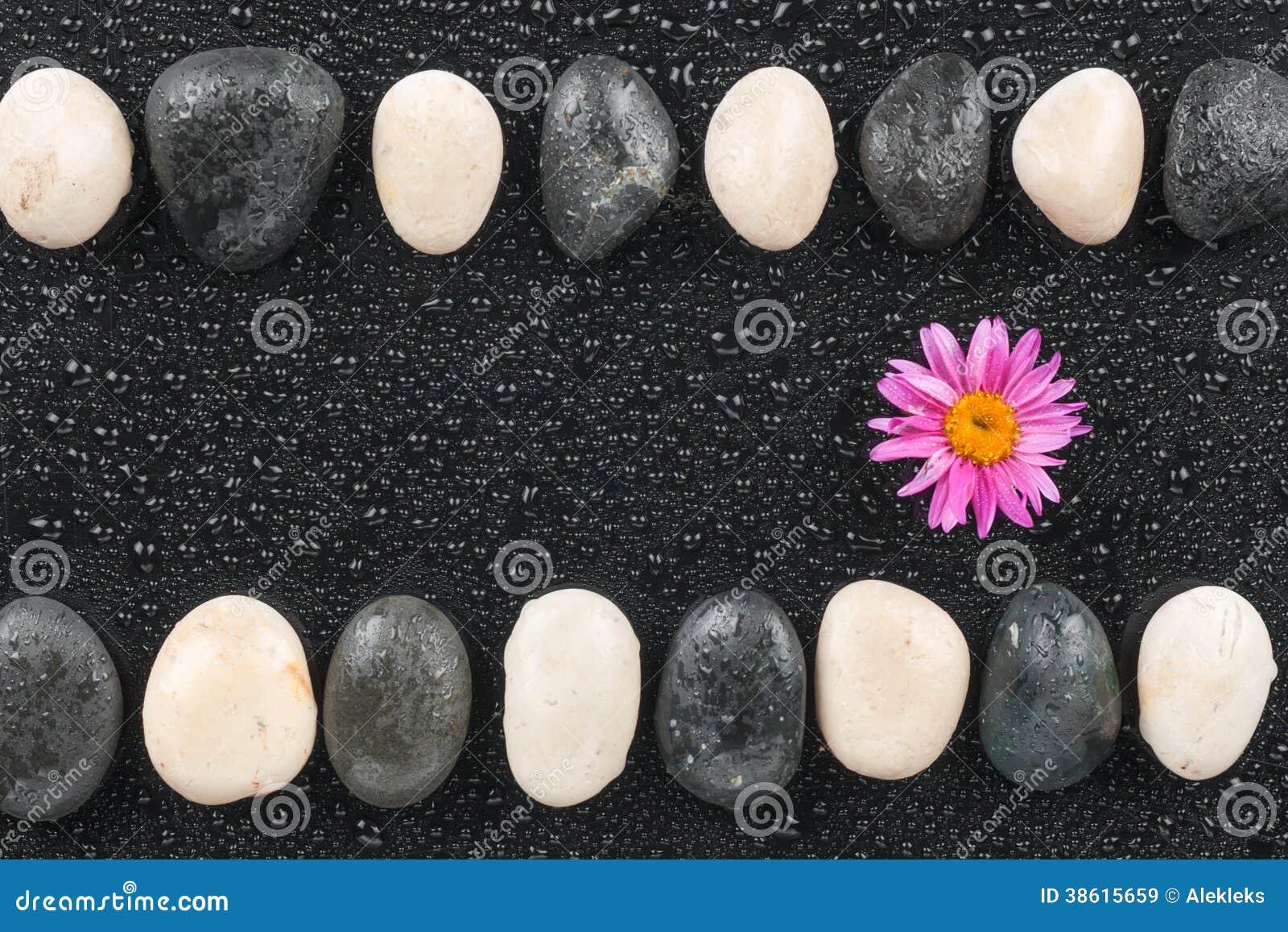 Zen Stones and Flower with Water Drops Stock Image Image of flower