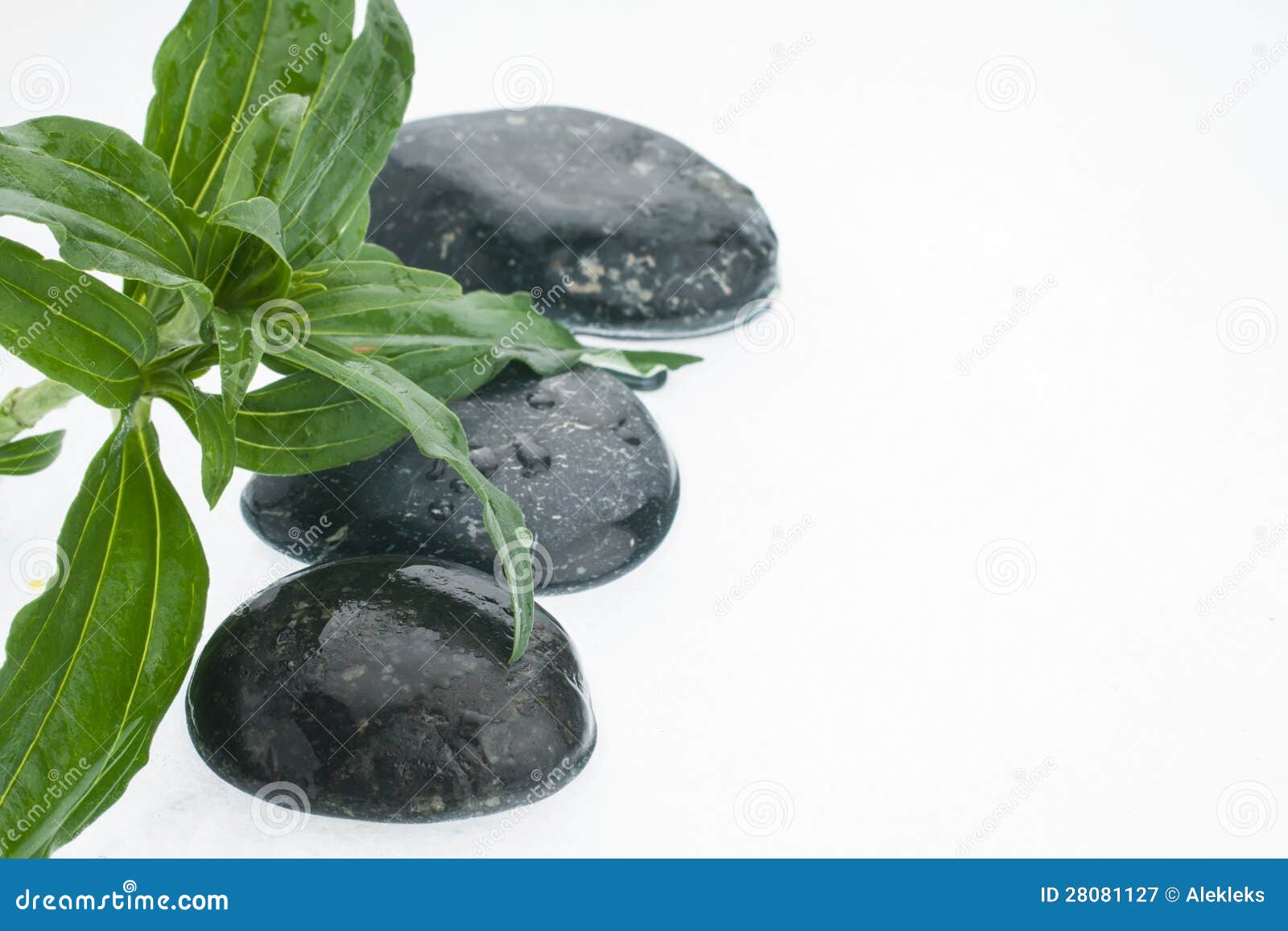 Zen Stones and Leaves with Water Drops Stock Image Image of droplet