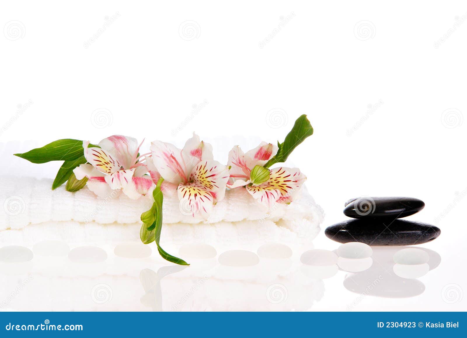 Zen Treatment stock image. Image of essential, meditation 2304923