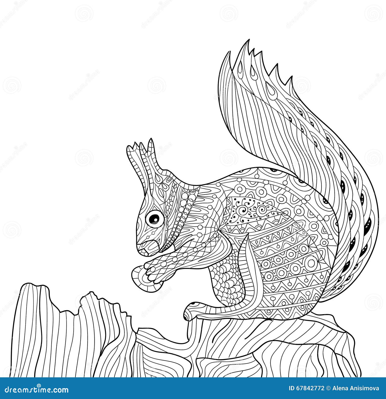 zenart  zentangle squirrel coloring book for adults