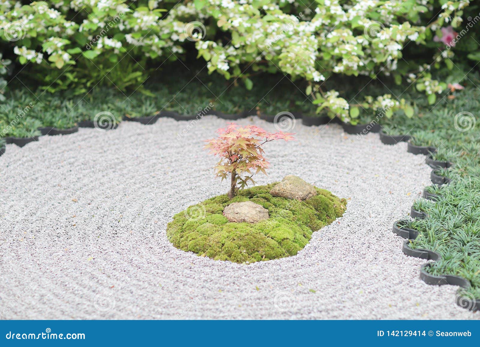 Zengarten an HKBlumenschau 2019 Stockfoto Bild von garten, bett