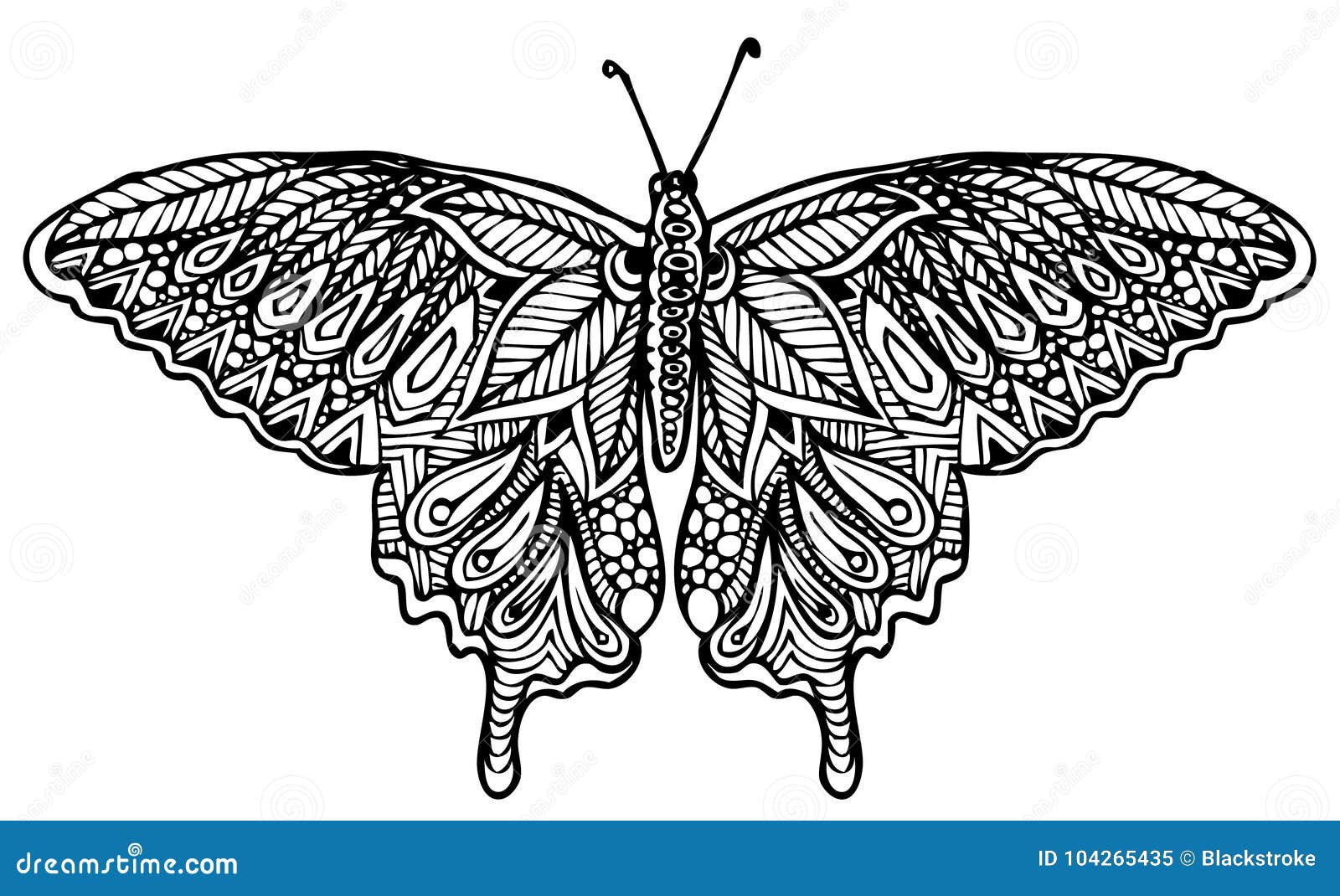 Zentangle butterfly vector stock vector. Illustration of drawn 104265435