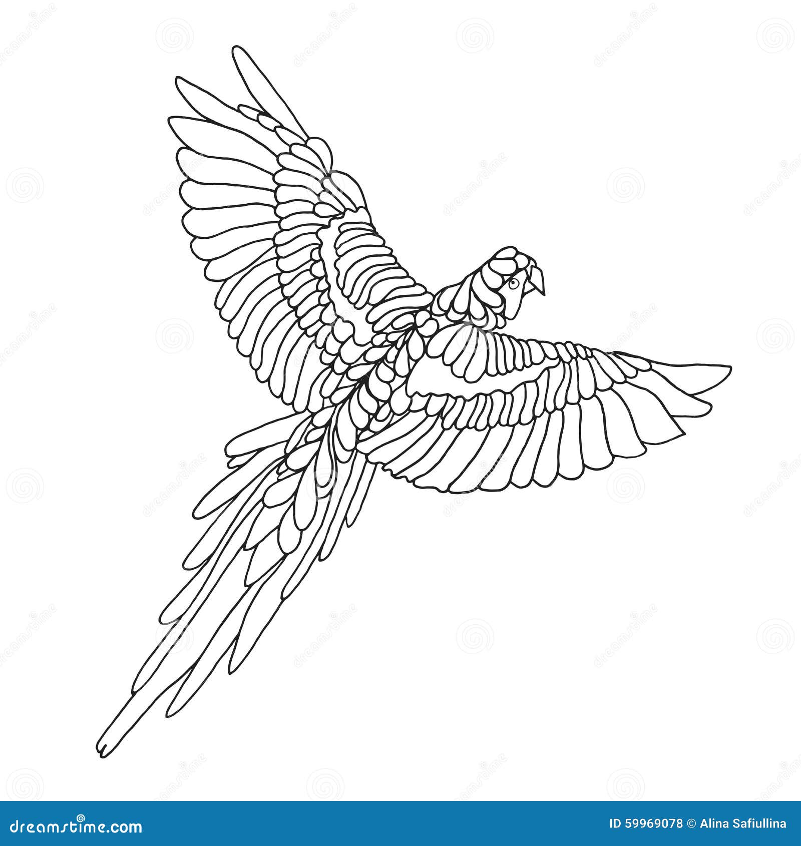 Zentangle ha stilizzato il pappagallo dell ara Schizzo per il tatuaggio o la maglietta Libera da Diritti