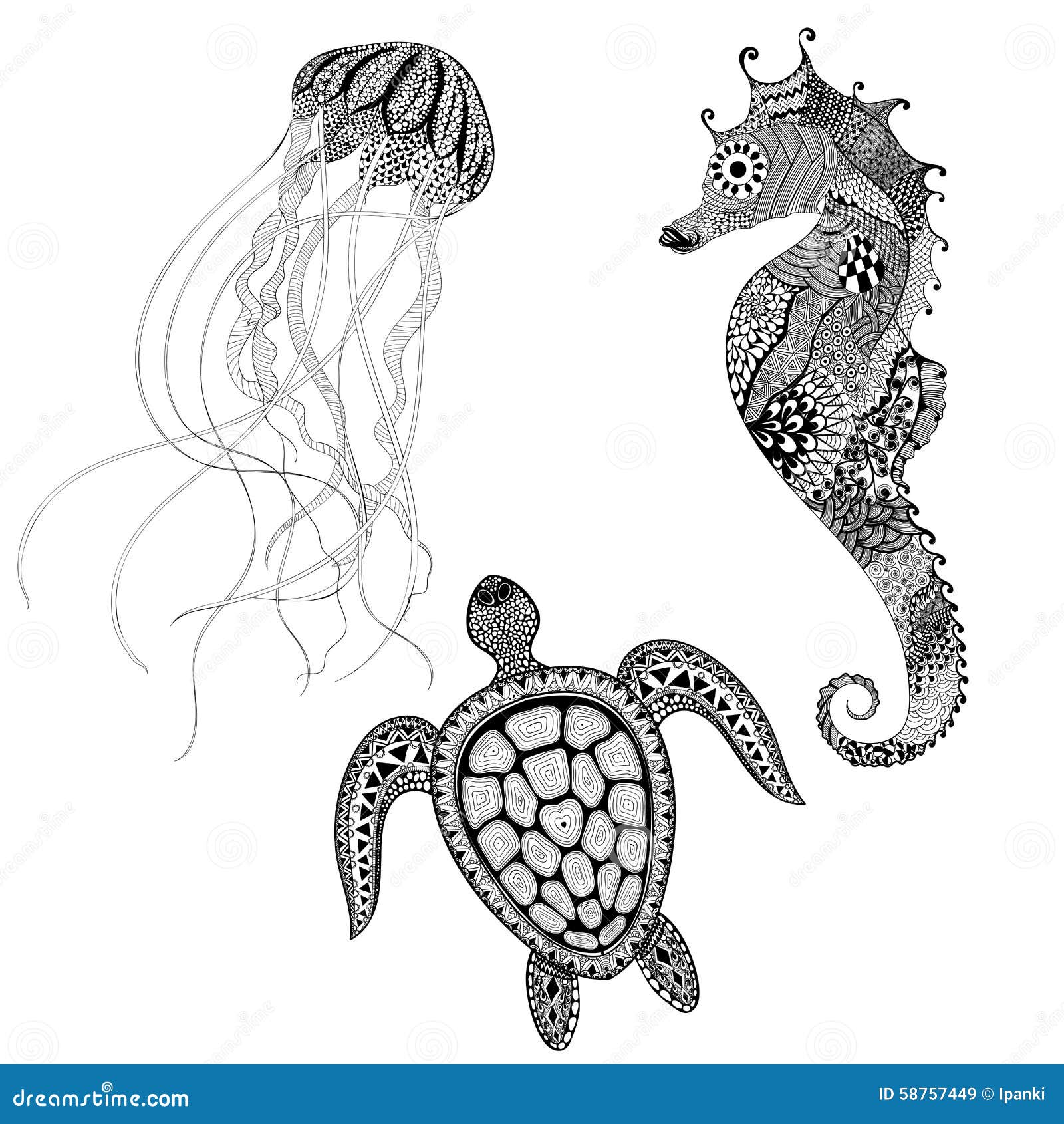 Zentangle ha stilizzato la tartaruga il cavalluccio marino e le meduse neri Mano d Immagini