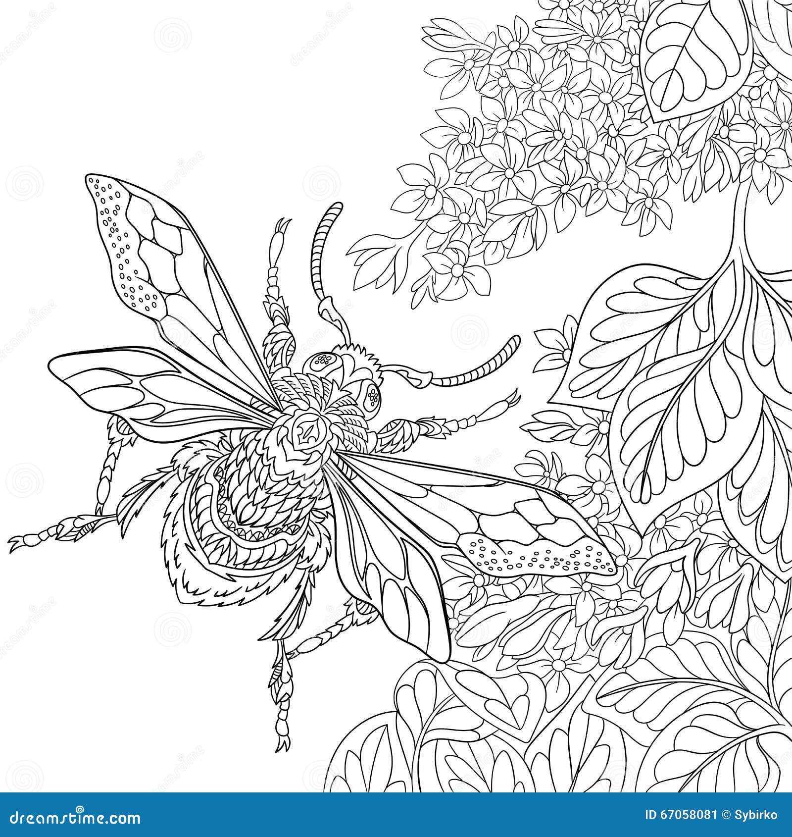 Zentangle Stylized Beetle Insect Stock Vector - Image: 67058081