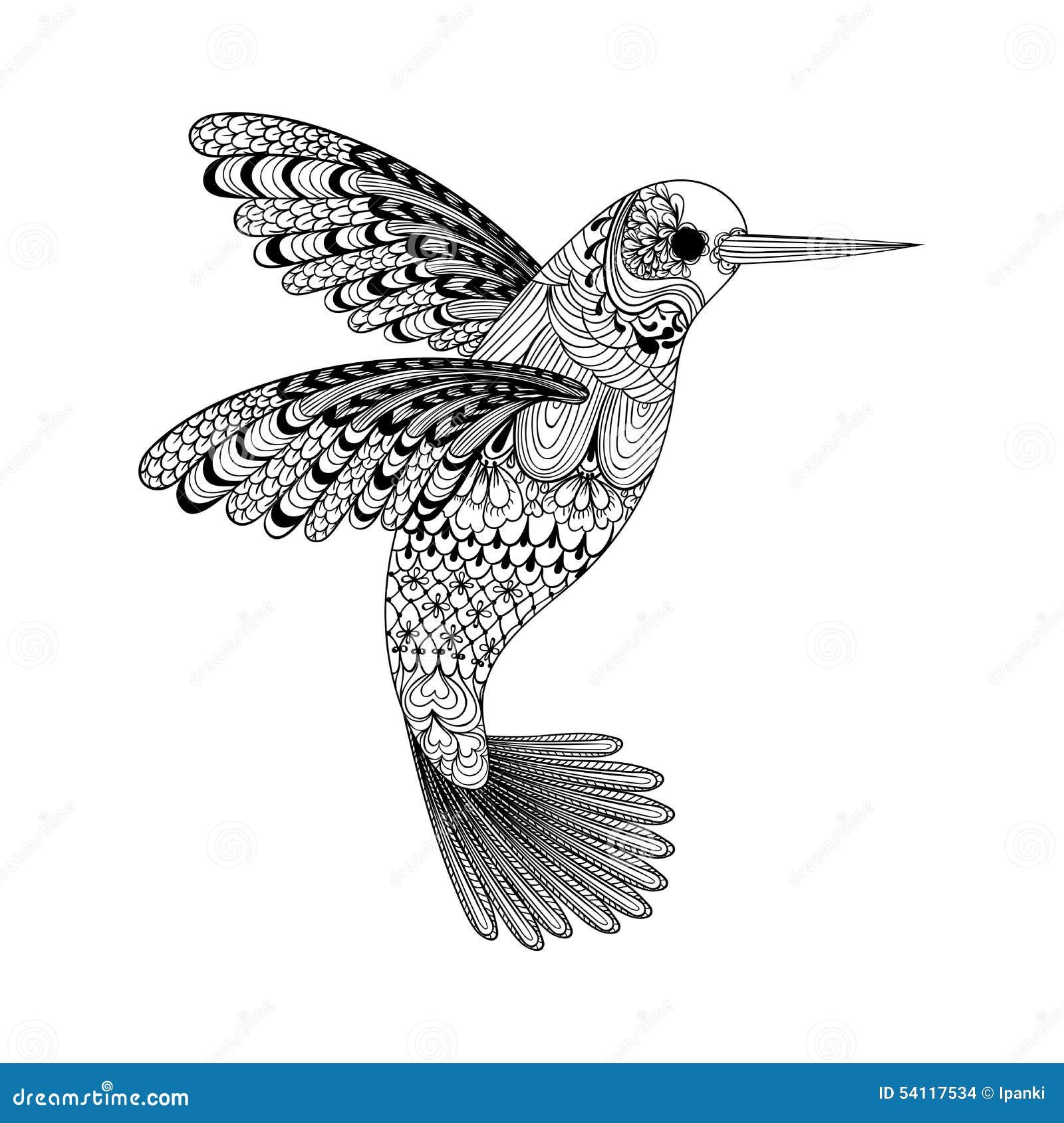 Hummingbird Drawing Images  Free Download on Freepik