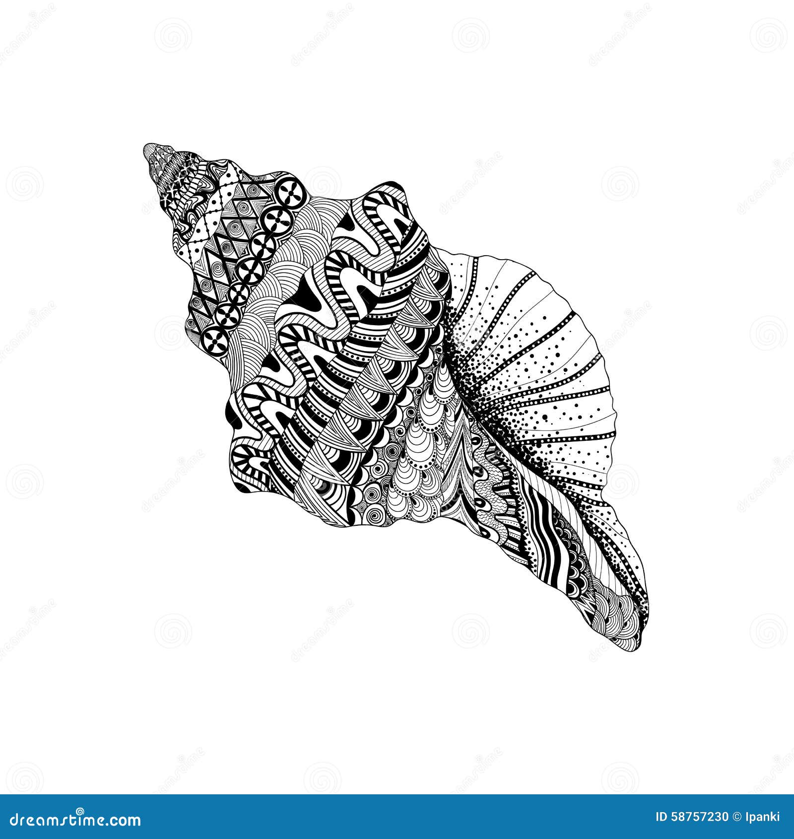 zentangle stylized black sea cockleshell. hand drawn aquatic doo