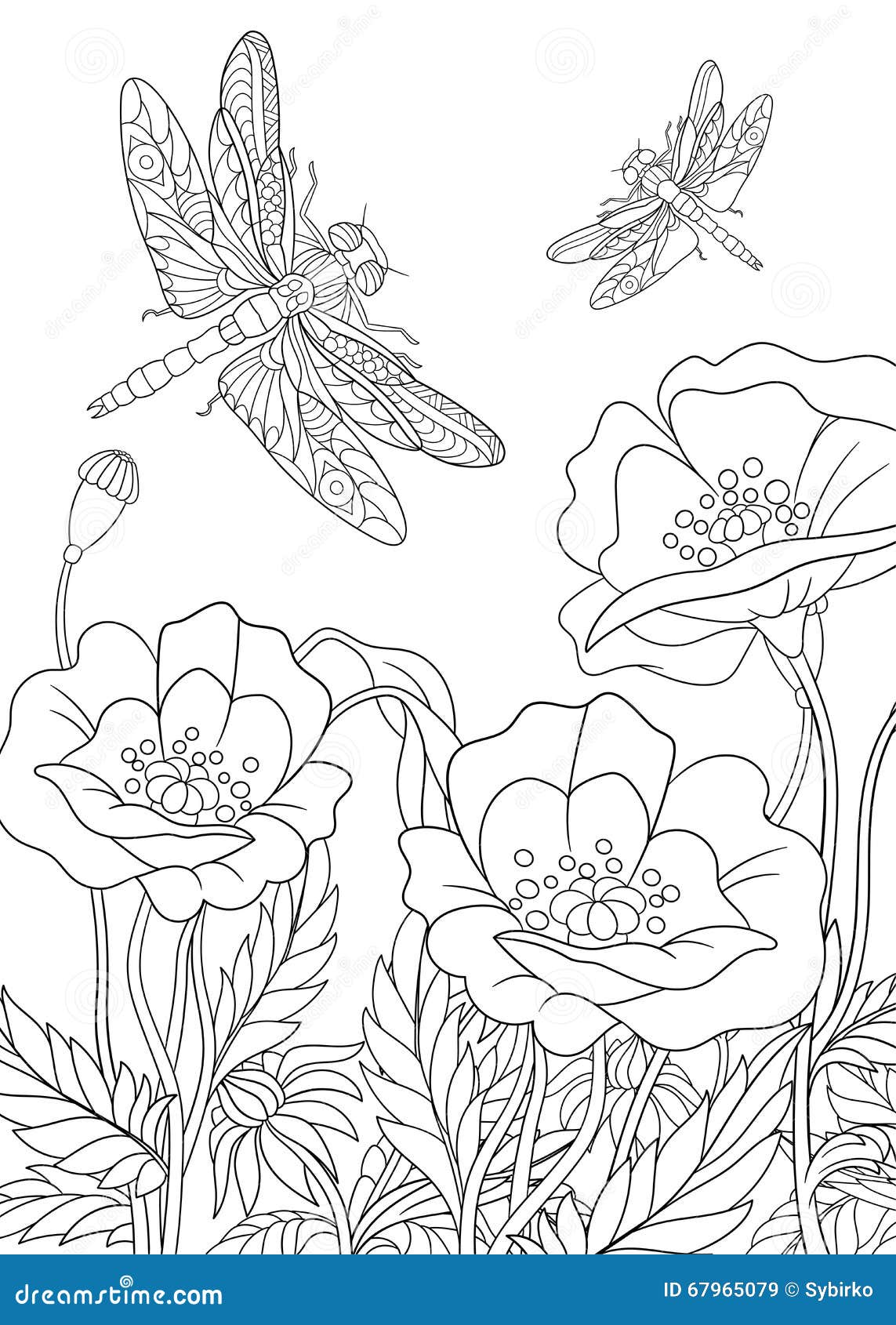 Zentangle Stylized Dragonfly Insect Stock Vector - Image: 67965079