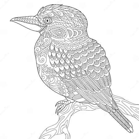 Zentangle Stylized Kookaburra Bird Stock Vector - Illustration of ...