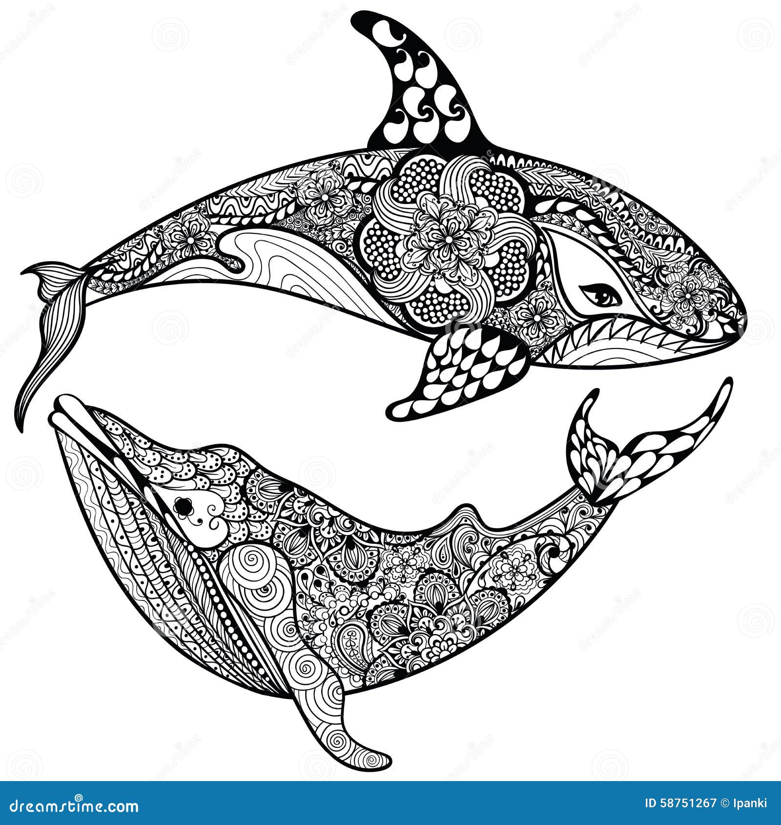 Download Zentangle Stylized Sea Shark And Whale. Hand Drawn Vector Illust Stock Vector - Image: 58751267