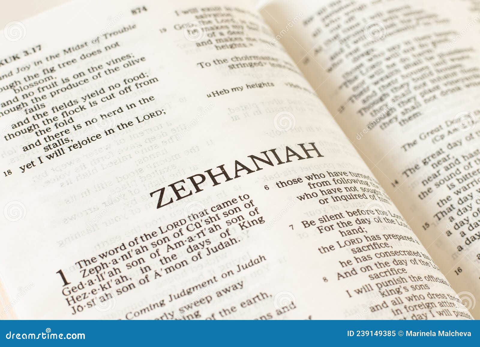 zephaniah open holy bible book close-up. old testament scripture prophecy.