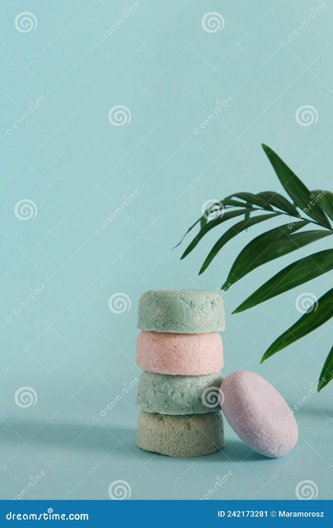 Zero waste solid shampoo stock image. Image of healthy 242173281