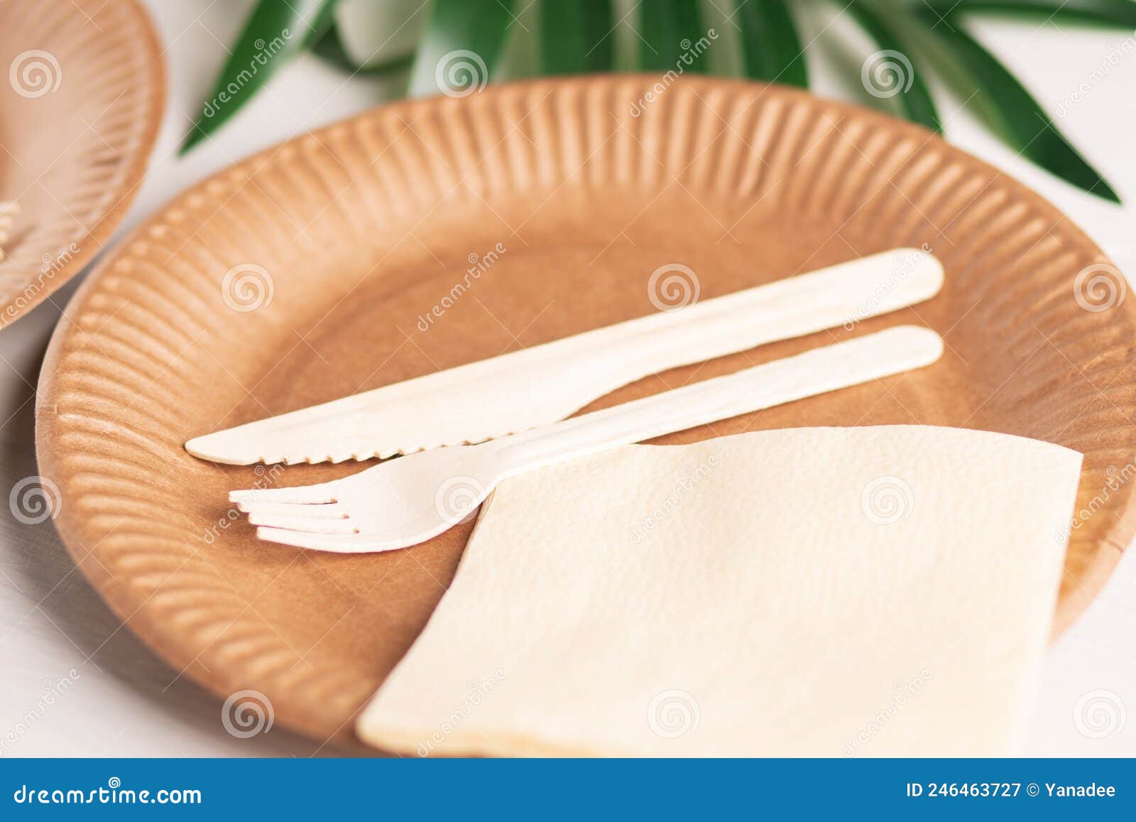 Zero Waste Takeaway, Eco Friendly Kitchenware Utensils, Environmental