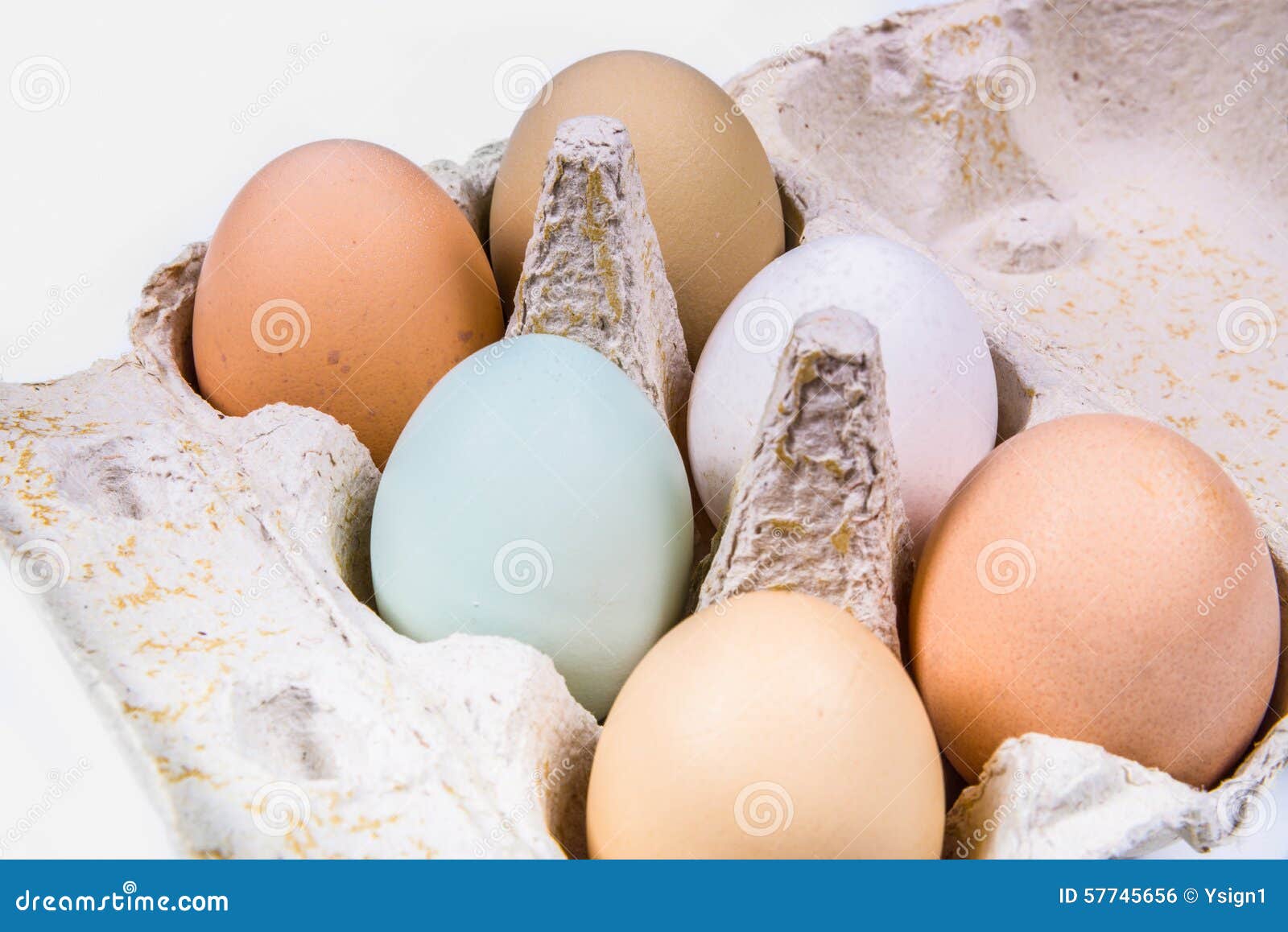 Het eens zijn met extreem land Zes Eieren in Verschillende Kleuren En Grootte in Een Eikarton Stock Foto -  Image of naughty, beeld: 57745656