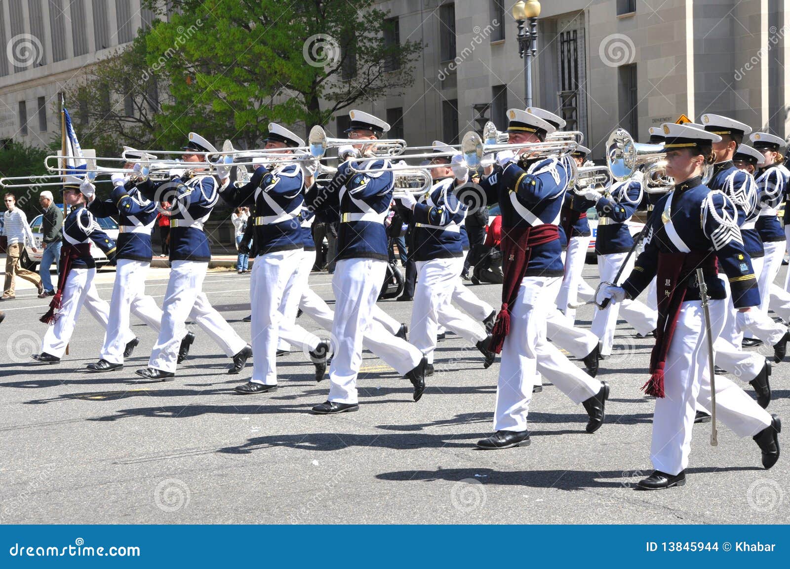 Zespołów tichties highty pułkowi. 10 2010 Kwiecień zespołu okwitnięcia c czereśniowej d festiwalu highty krajowej parady pułkowych tichties Washington