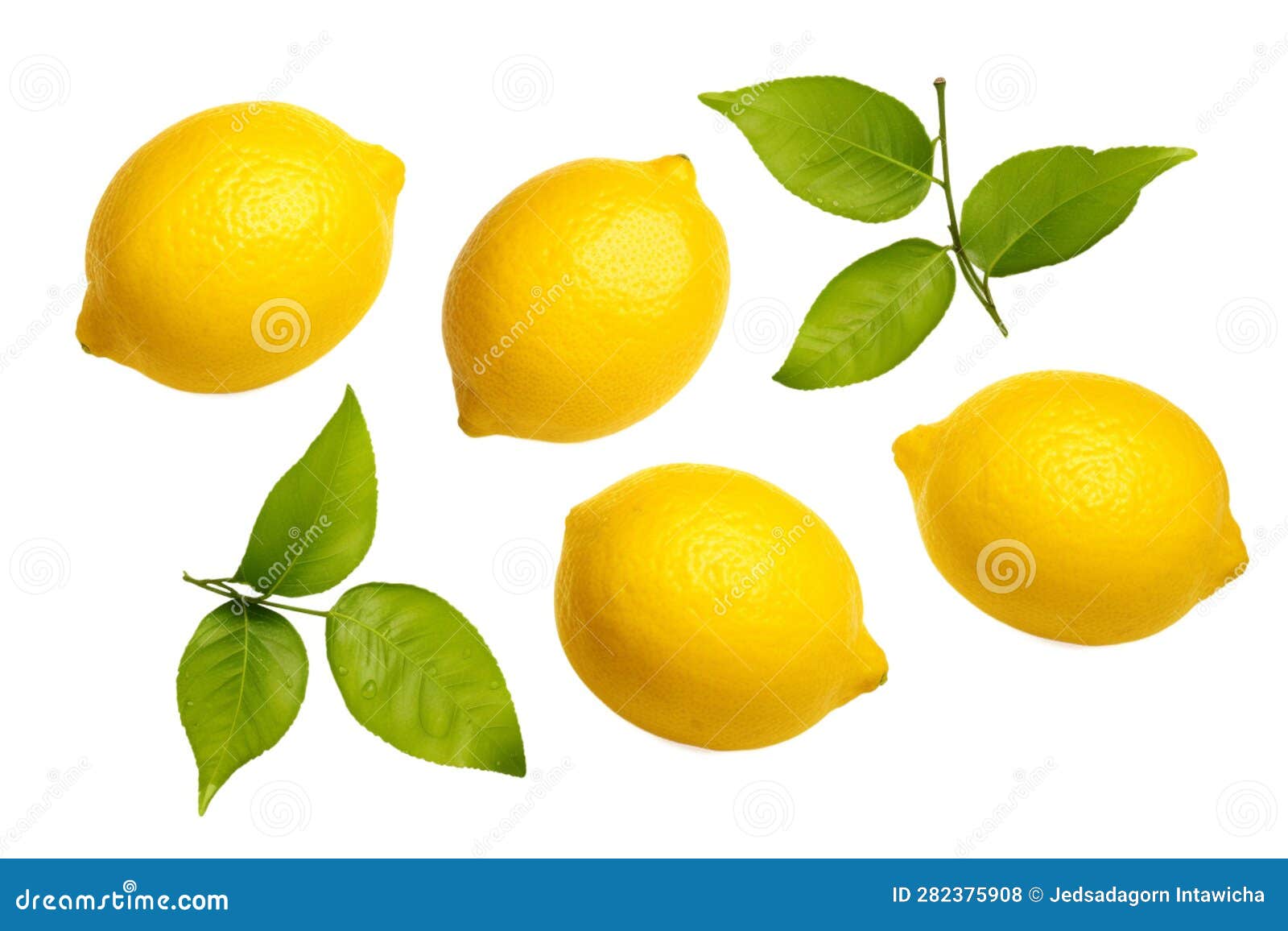 Zesty Lemon Slice on a Clean White Background Stock Photo - Image of ...