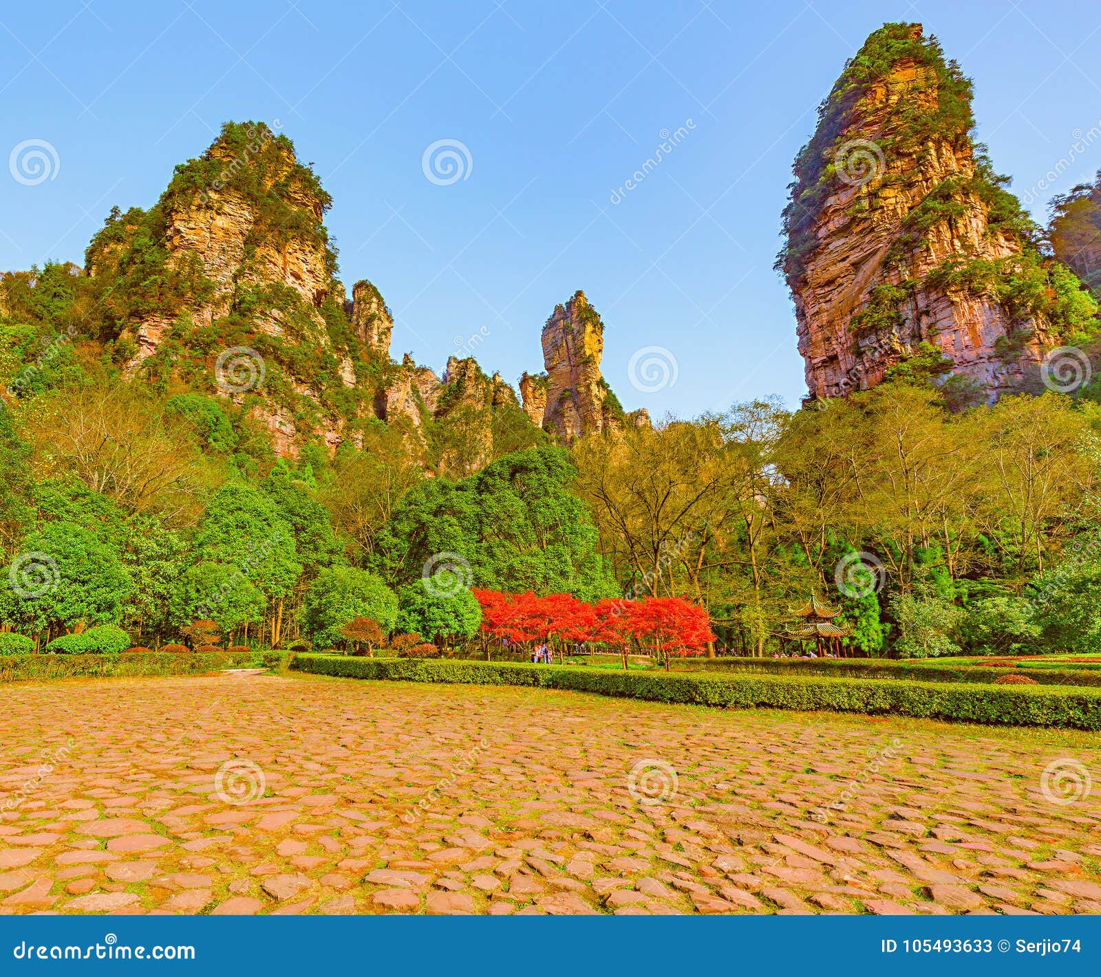 Zhangjiajie Forest Park stockbild. Bild von asien, berg - 105493633