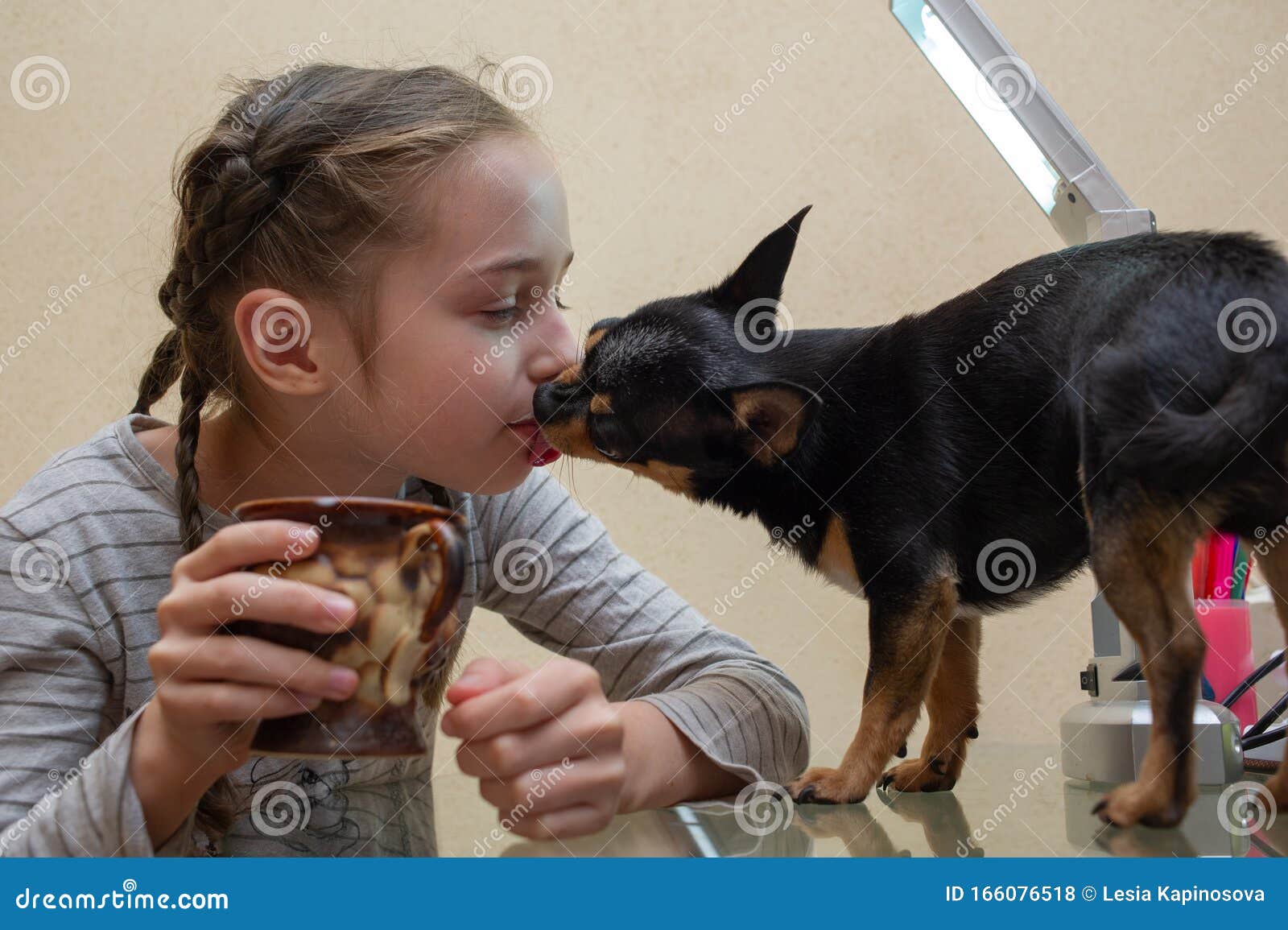 Ziemlich Lachelndes Madchen Ihr Hund Steht In Der Nahe Madchen Und Chihuahua Am Tisch Stockfoto Bild Von Ziemlich Hund