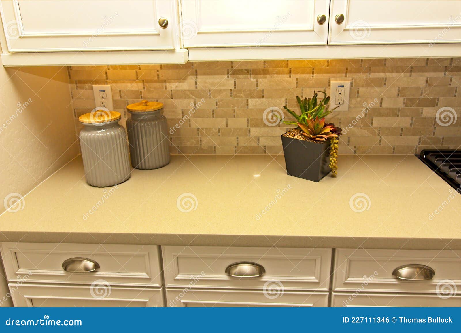 Zierkanister Und Pflanze Auf Küchentheke Stockfoto - Bild von