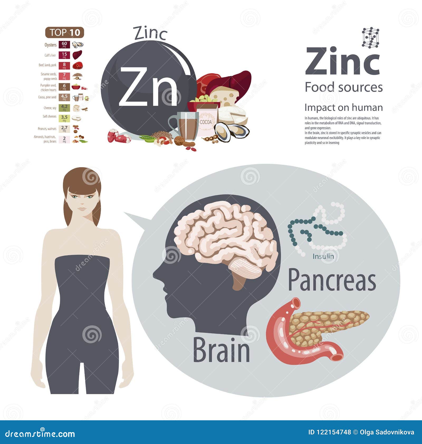 https://thumbs.dreamstime.com/z/zinc-effect-minerals-human-health-healthy-diet-lifestyle-infographics-food-sources-influence-122154748.jpg