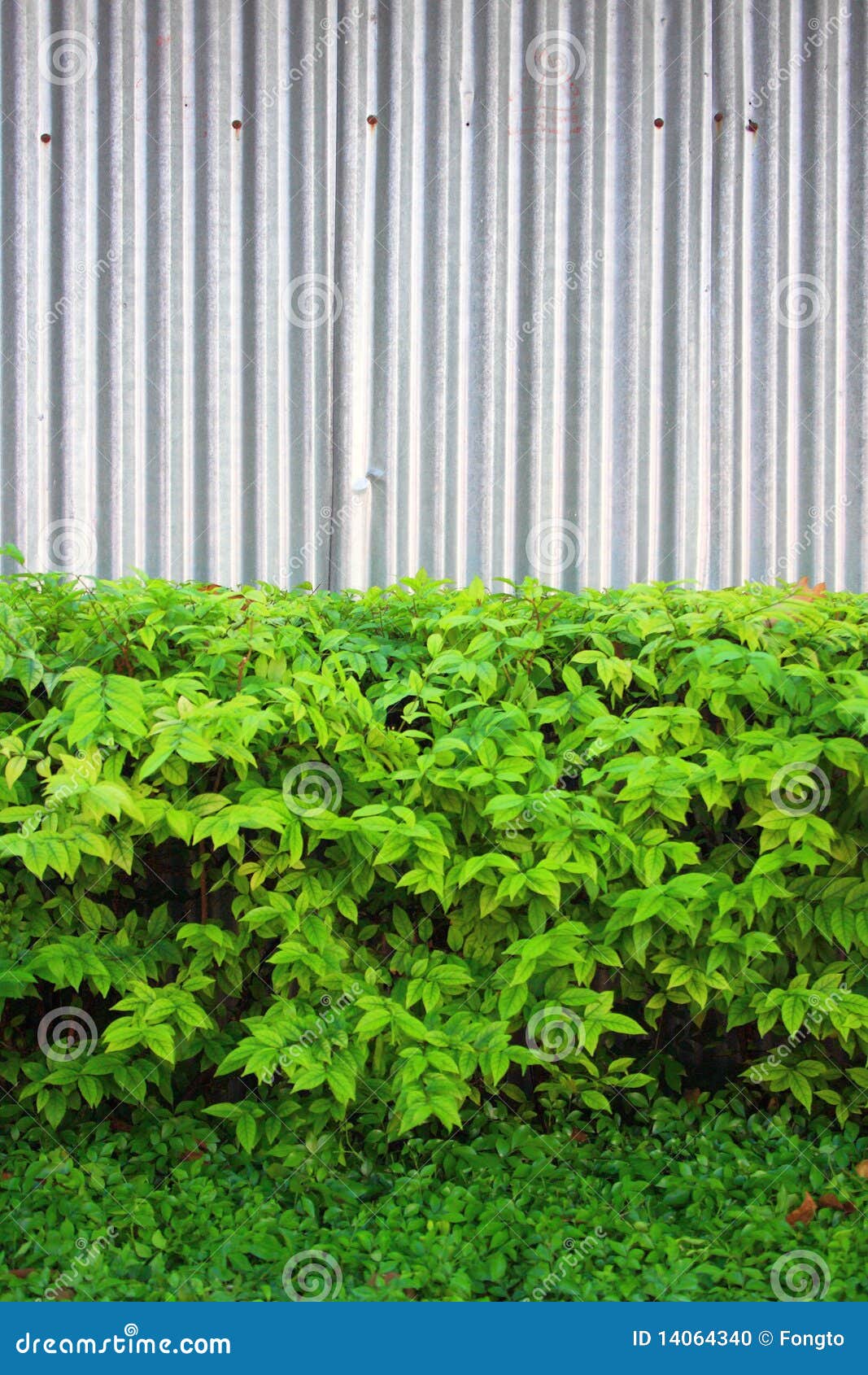 Zinc fence stock photo. Image of lines, fence, garage 14064340