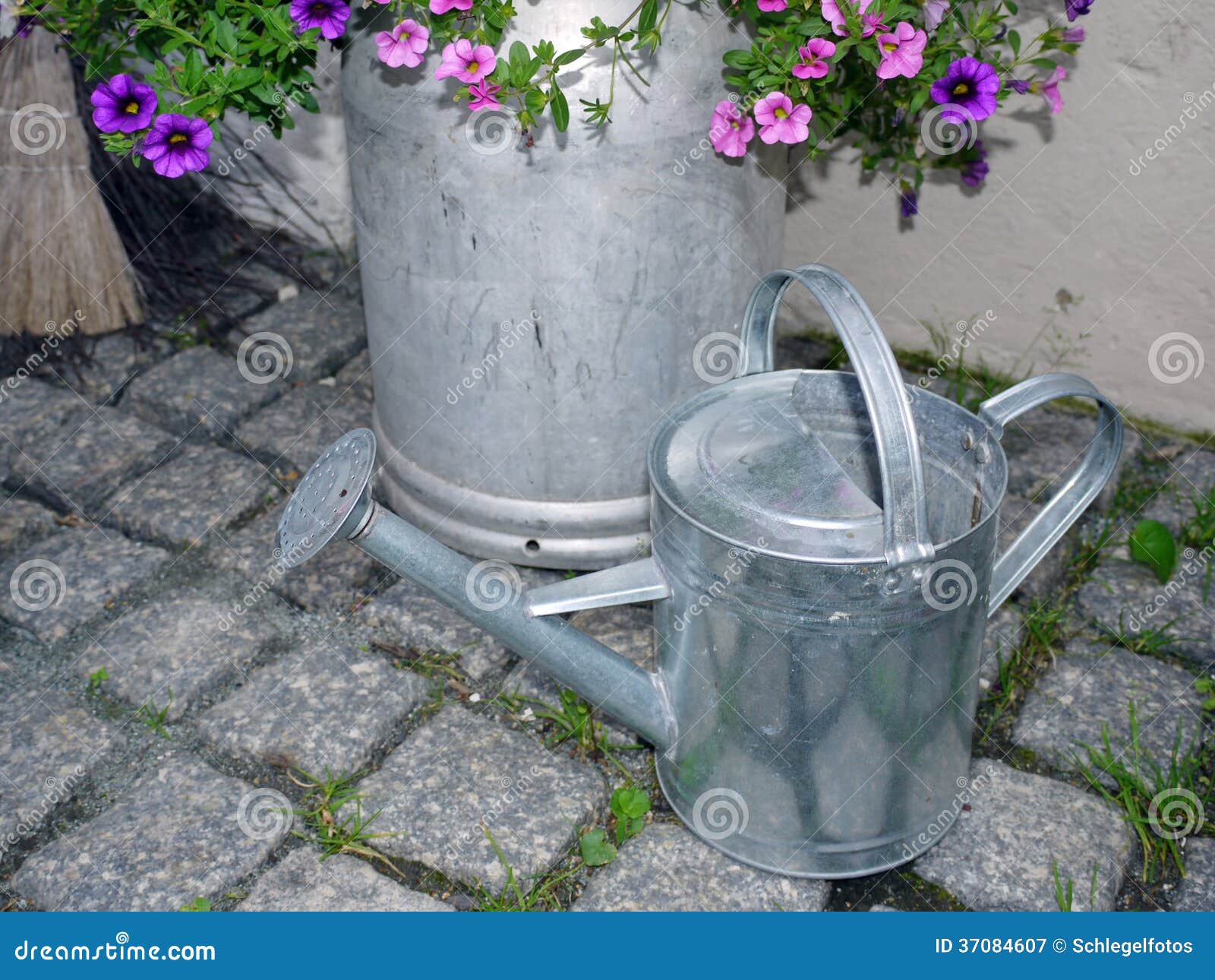 Zinc Watering Can in Garden Stock Image Image of nature, natural