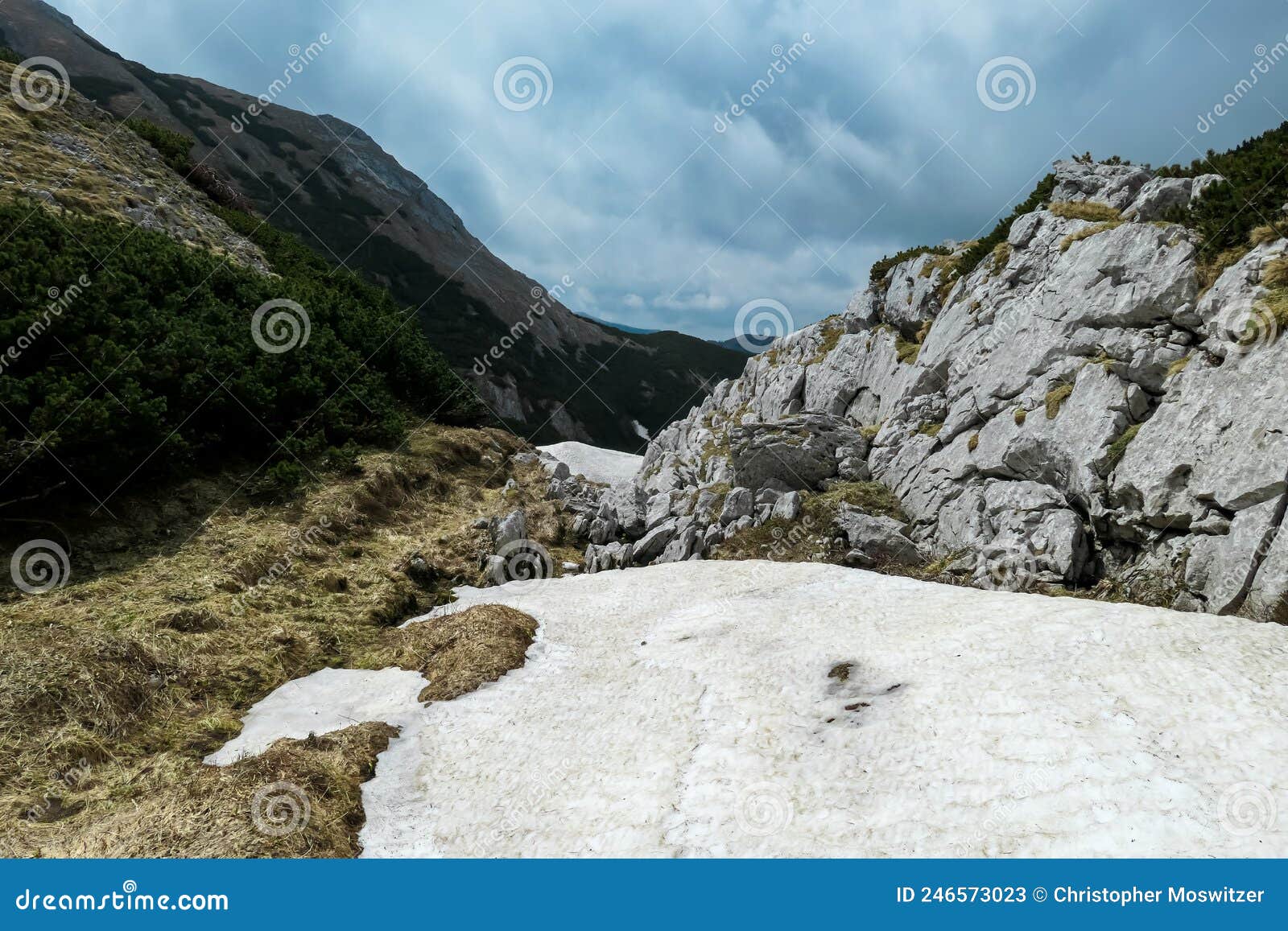 zinken - remaining snow fields in spring on high altitude plateau on the hochschwab mountain region in styria, austrian alps