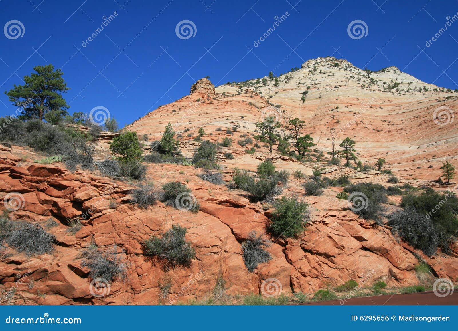 Zion Mt Carmel Highway stock photo. Image of scenic, mount 6295656