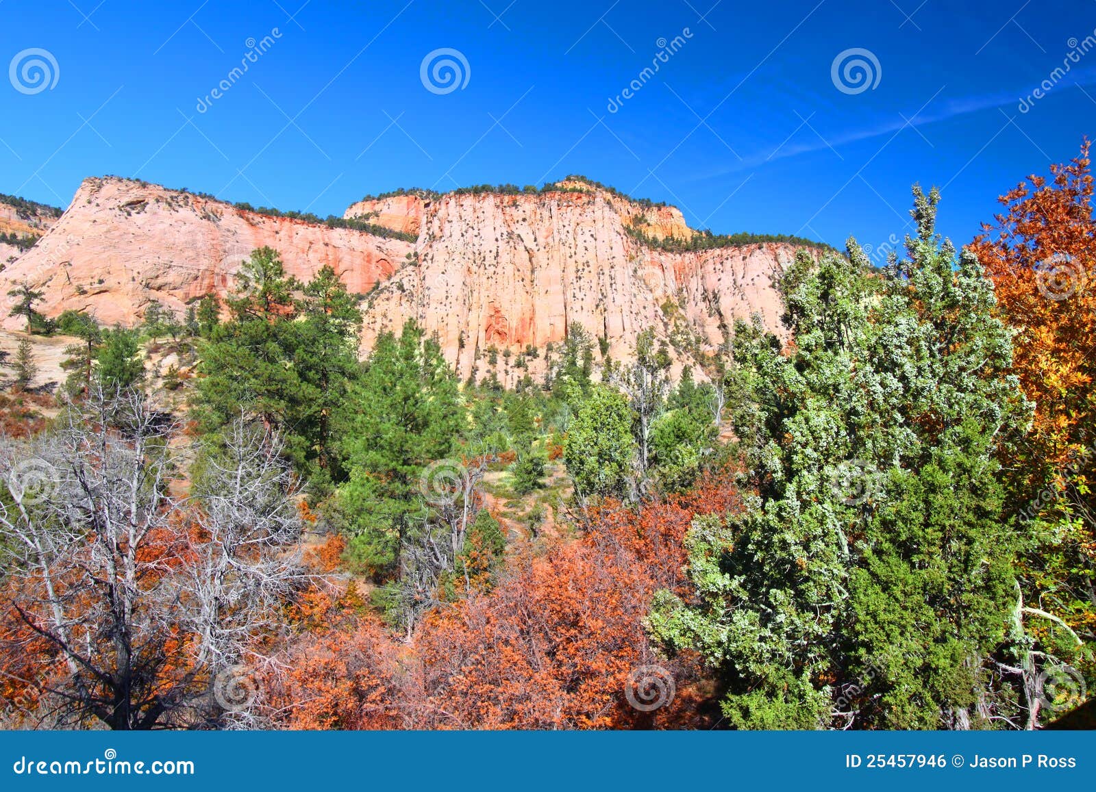 Zion National Park Geology stock photo. Image of southwest 25457946