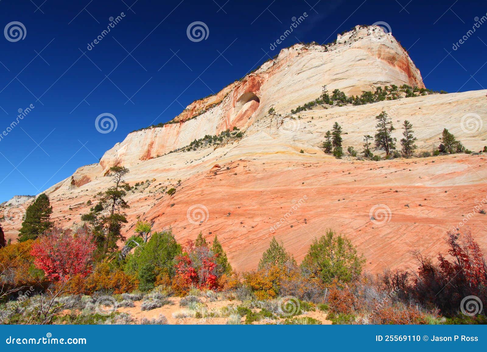Zion National Park Geology stock photo. Image of national 25569110