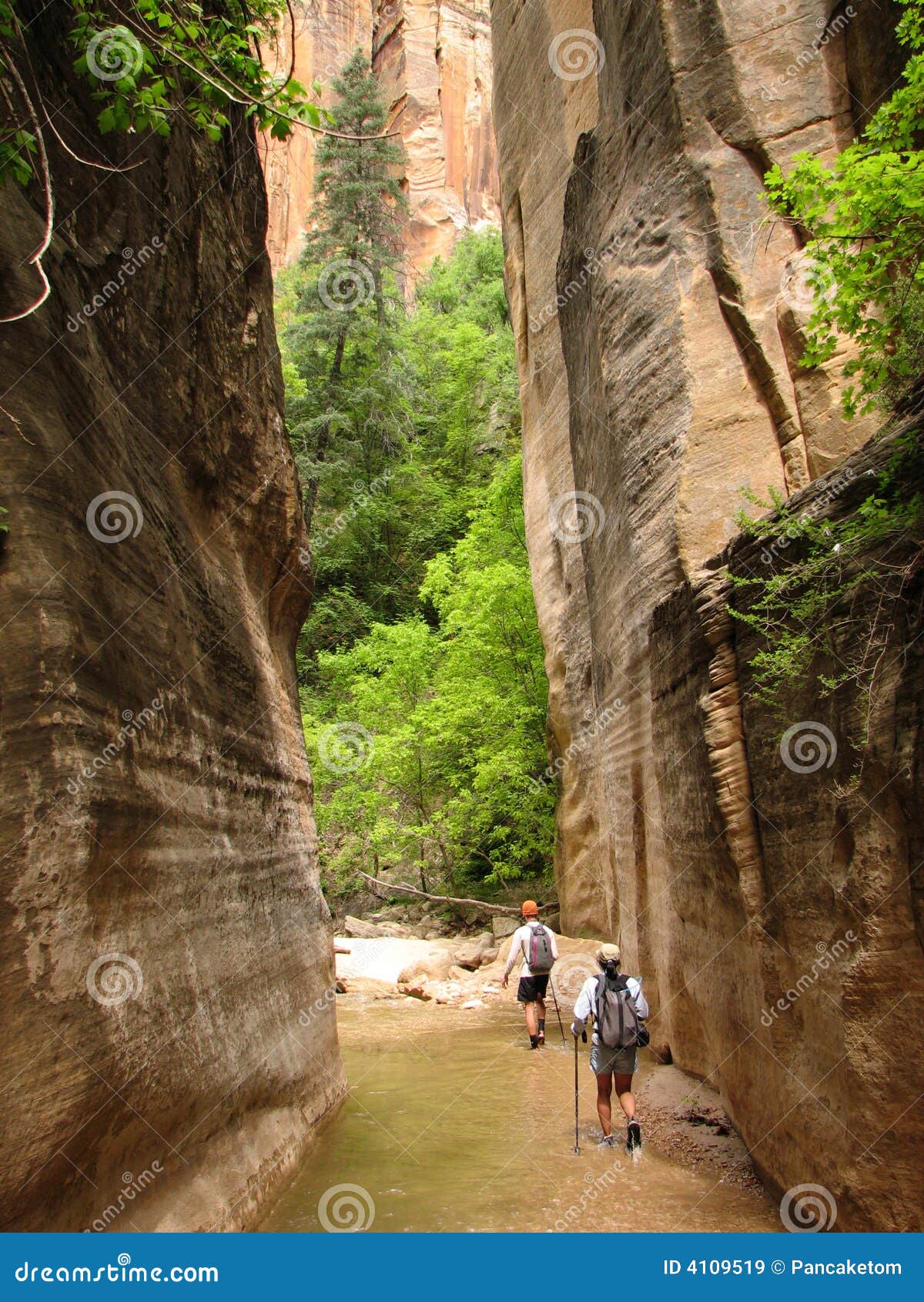 zion virgin narrows hikers