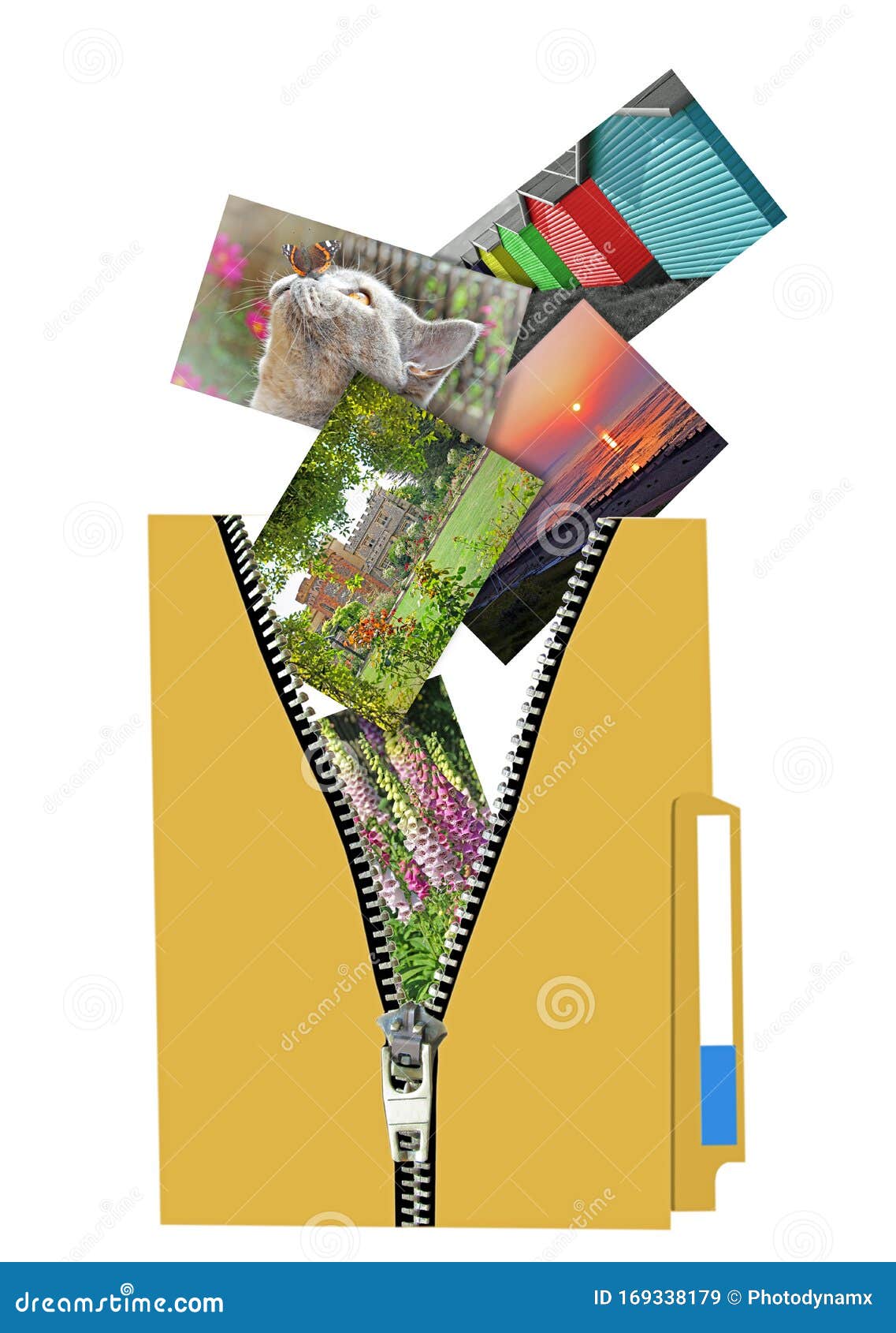 Zip File Files Folder Folder Unzip Zipper Digital Photos