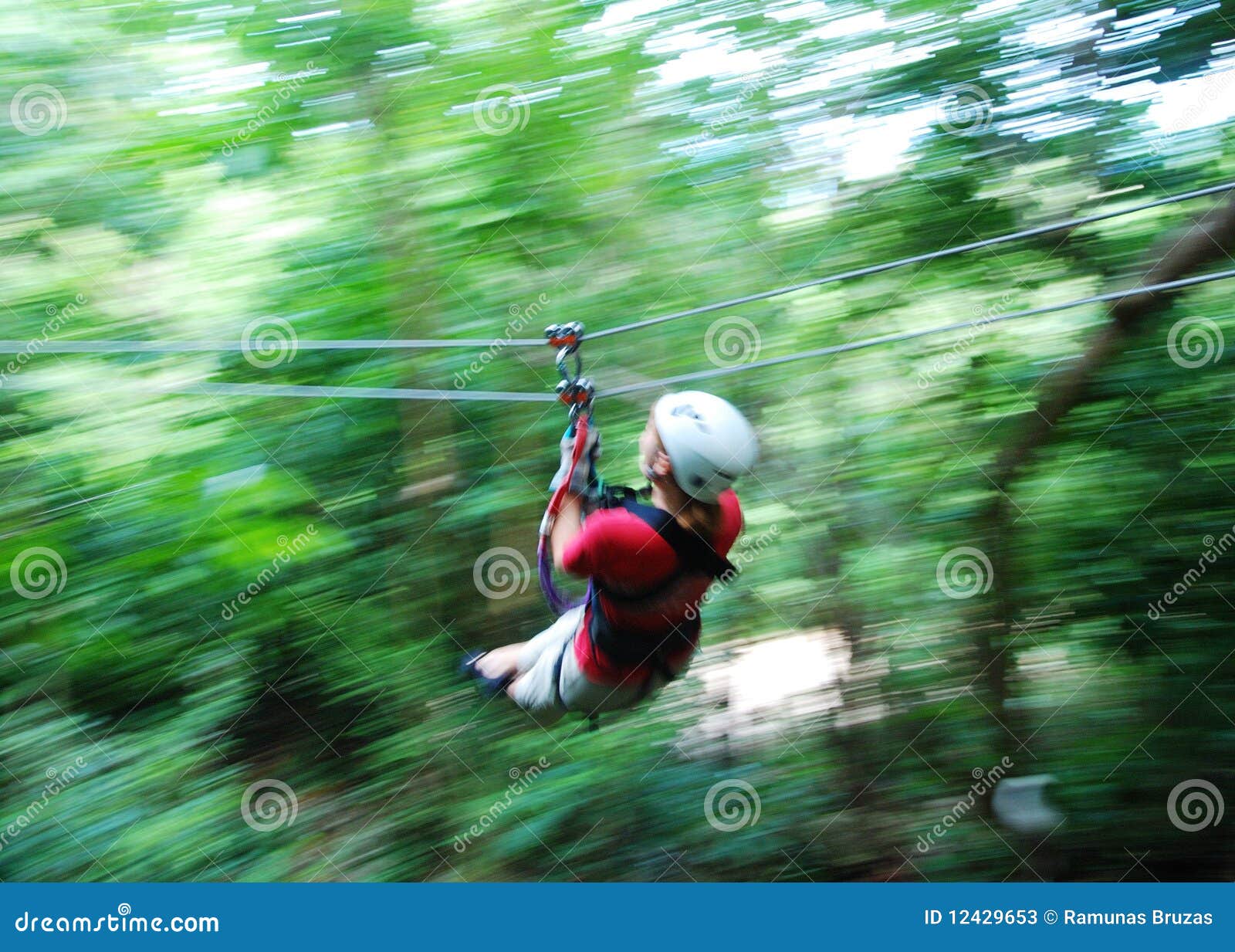 Zip Line in Jamaica stock image. Image of line, forest 12429653