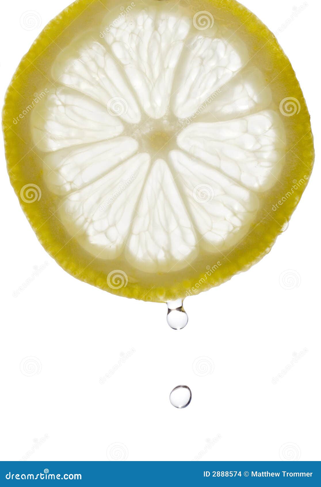 Zitrone-Tropfen. Ein Wassertropfen, der von einer Scheibe der Zitrone fällt. Getrennt auf einem weißen Hintergrund.