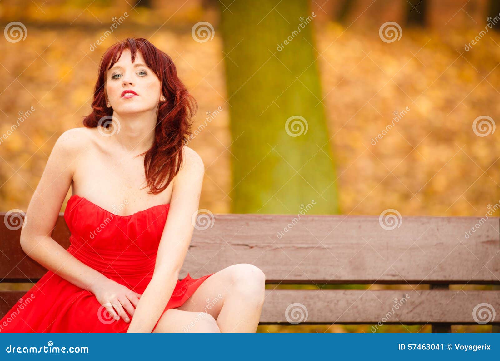 Zitting van de vrouwen de rode kleding op bank in de herfstpark. Mooie jonge vrouw in elegante rode kledingszitting op bank Meisje het ontspannen op herfstpark Dalingsvrije tijd buiten