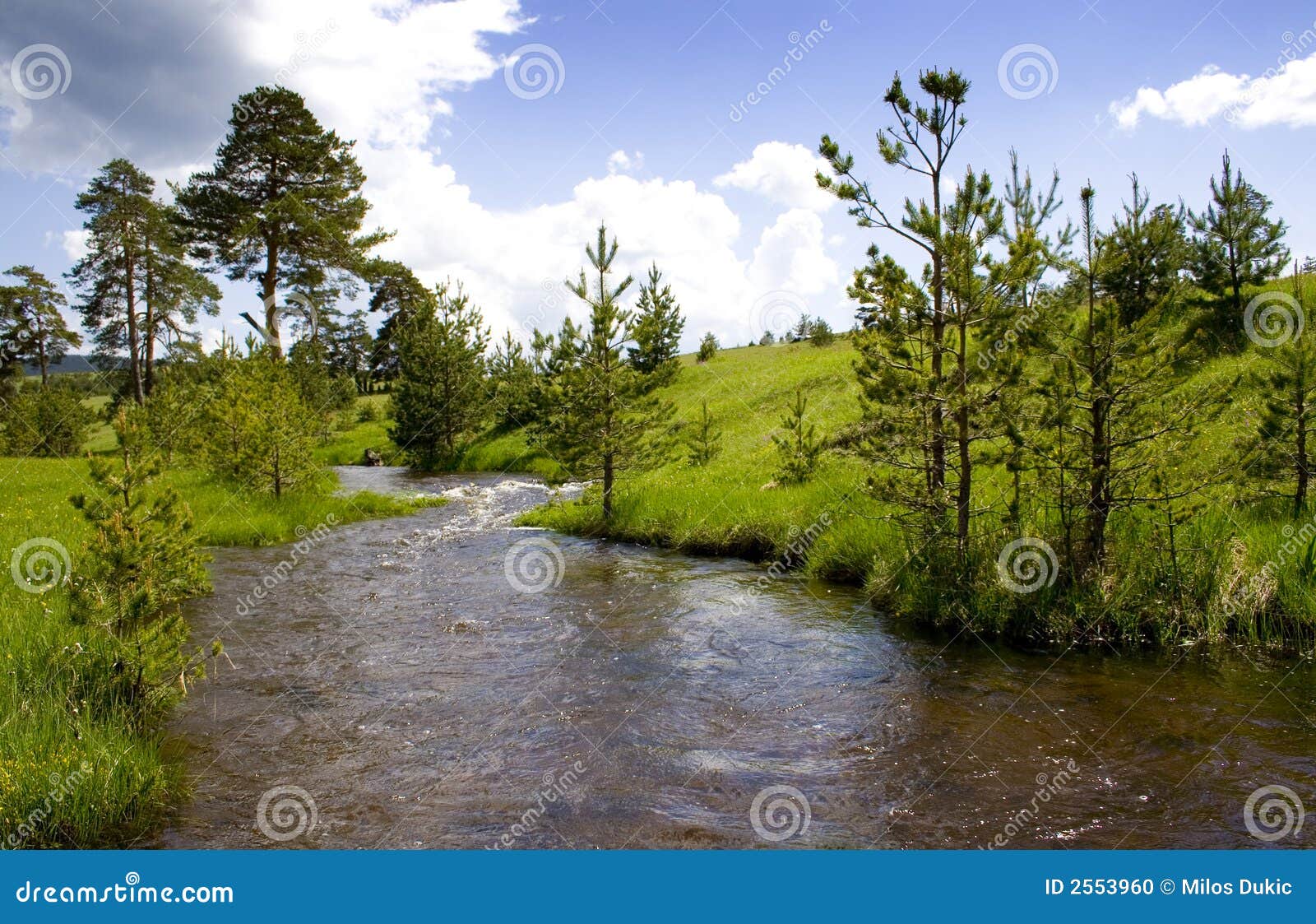 Zlatibor mountain moods stock photo. Image of daylight 2553960